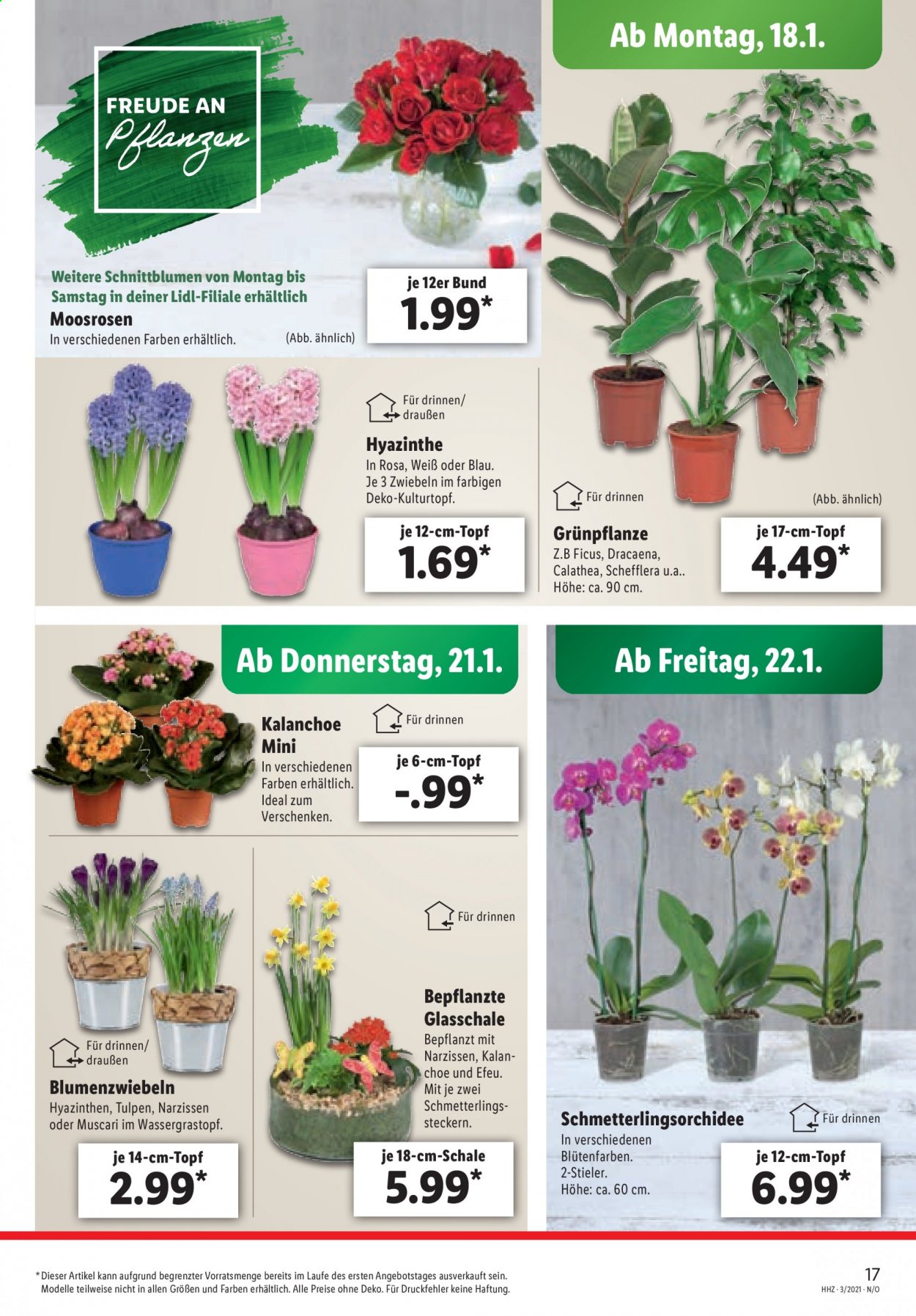 Lidl Prospekte  - 18.01.2021 - 23.01.2021. Seite 17