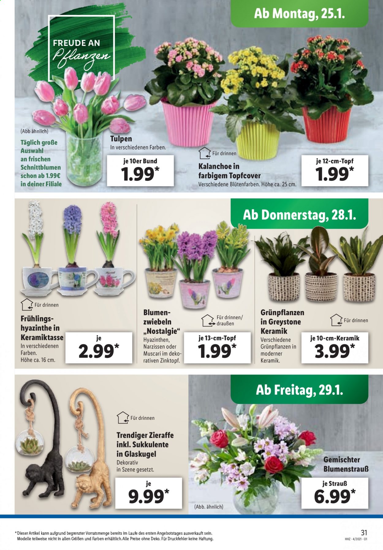 Lidl Prospekte  - 25.01.2021 - 30.01.2021. Seite 31