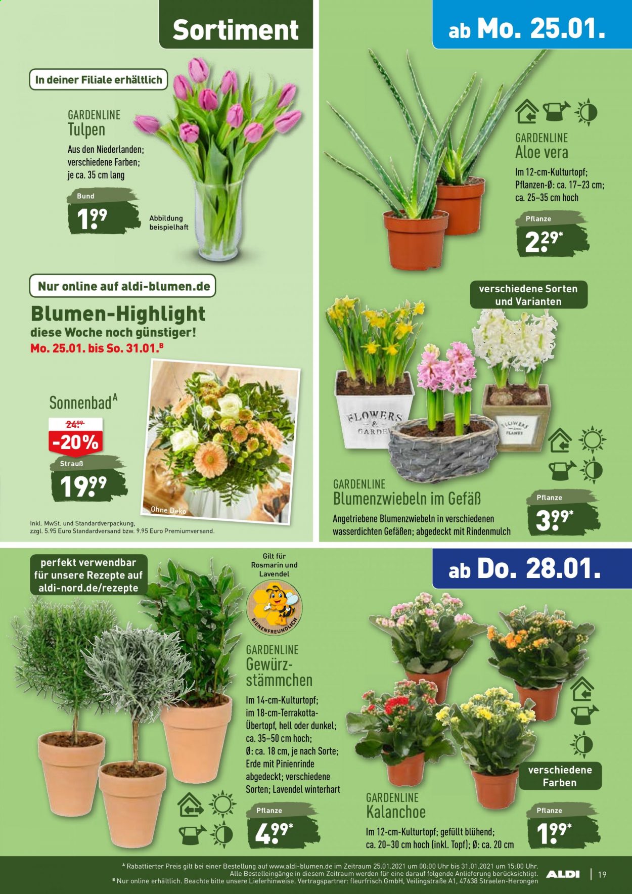 ALDI Nord Prospekte  - 25.01.2021 - 30.01.2021. Seite 19