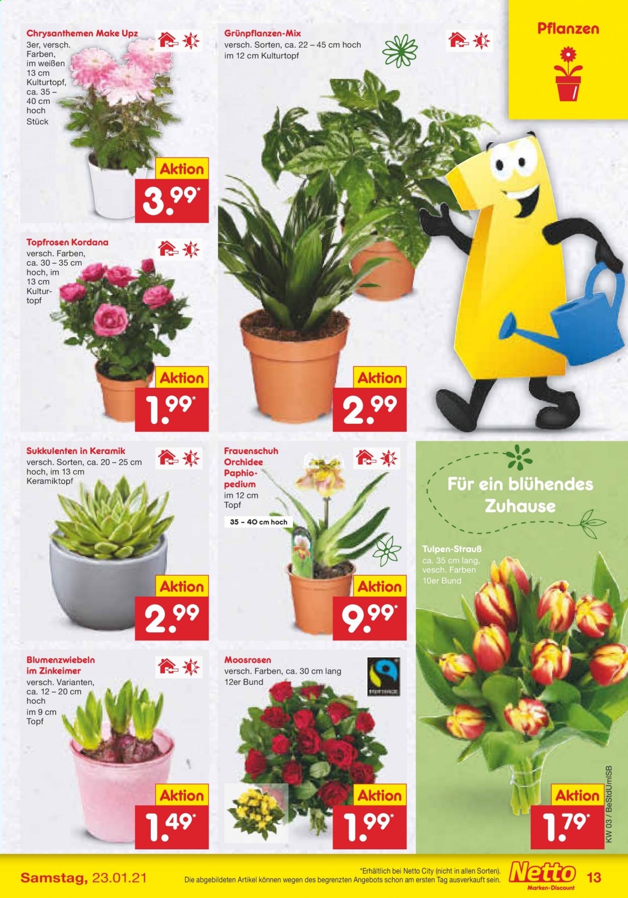 Netto Marken-Discount Prospekte  - 18.01.2021 - 23.01.2021. Seite 13