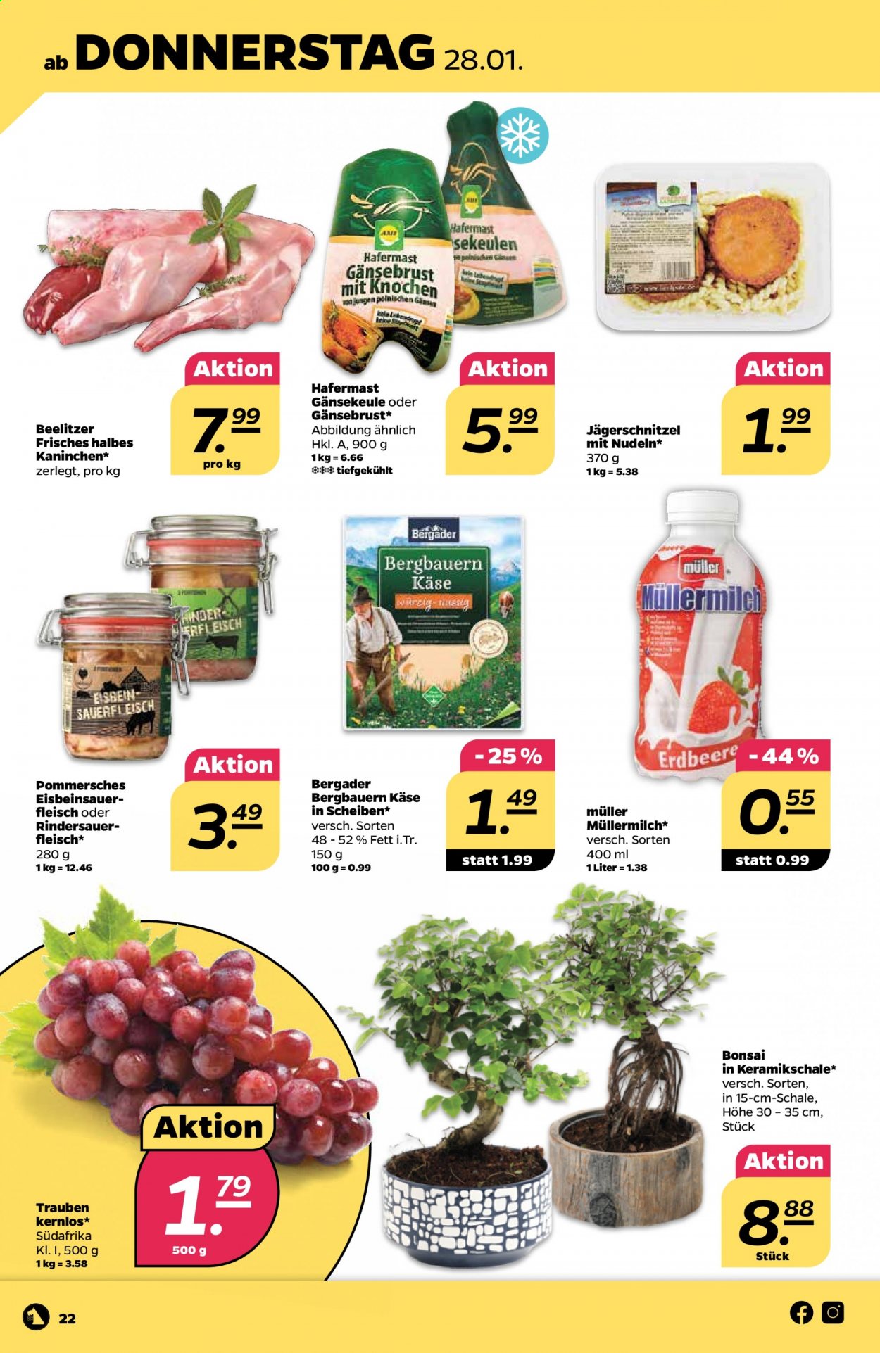 Netto Prospekte  - 25.01.2021 - 30.01.2021. Seite 22