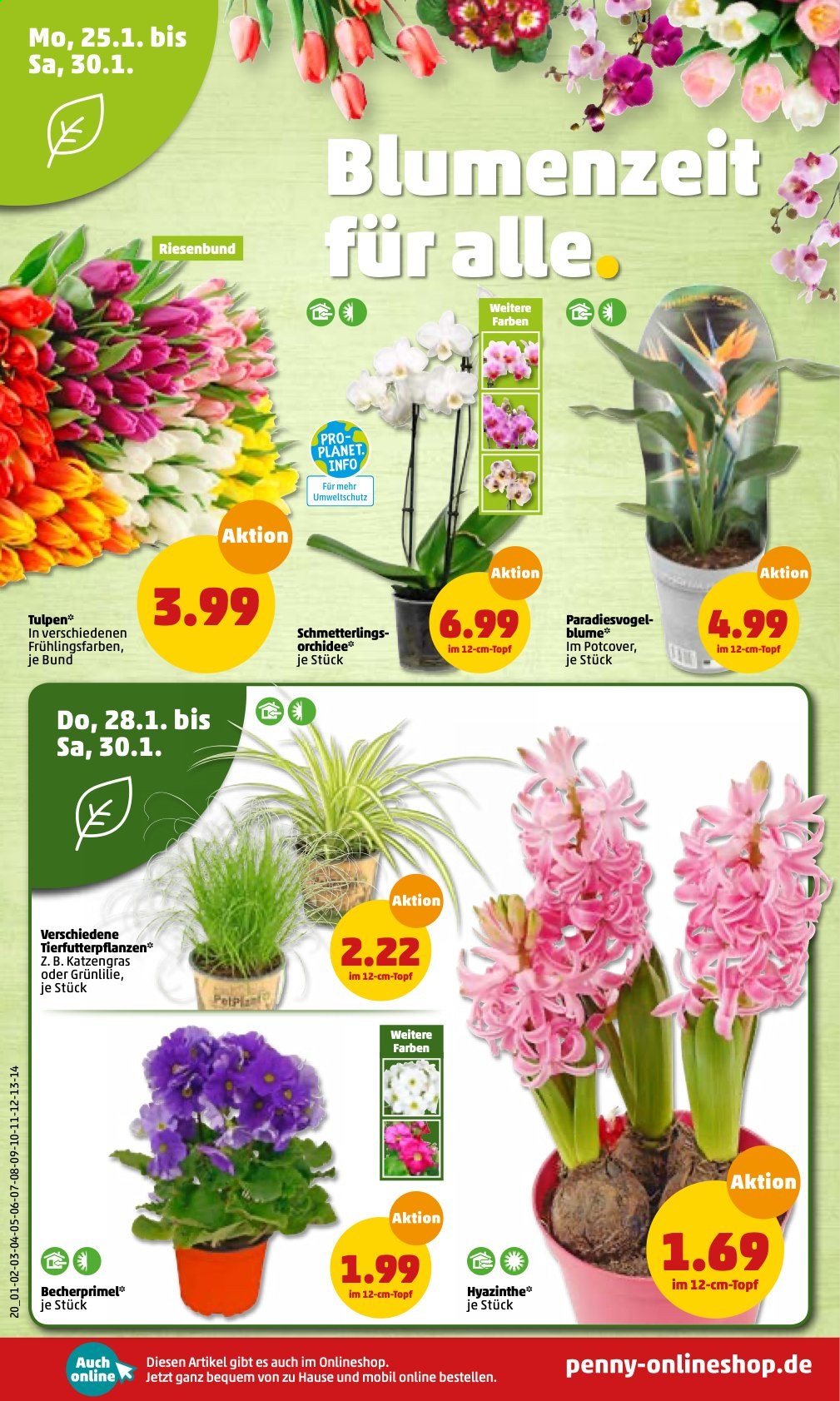 Penny Prospekte  - 25.01.2021 - 30.01.2021. Seite 21