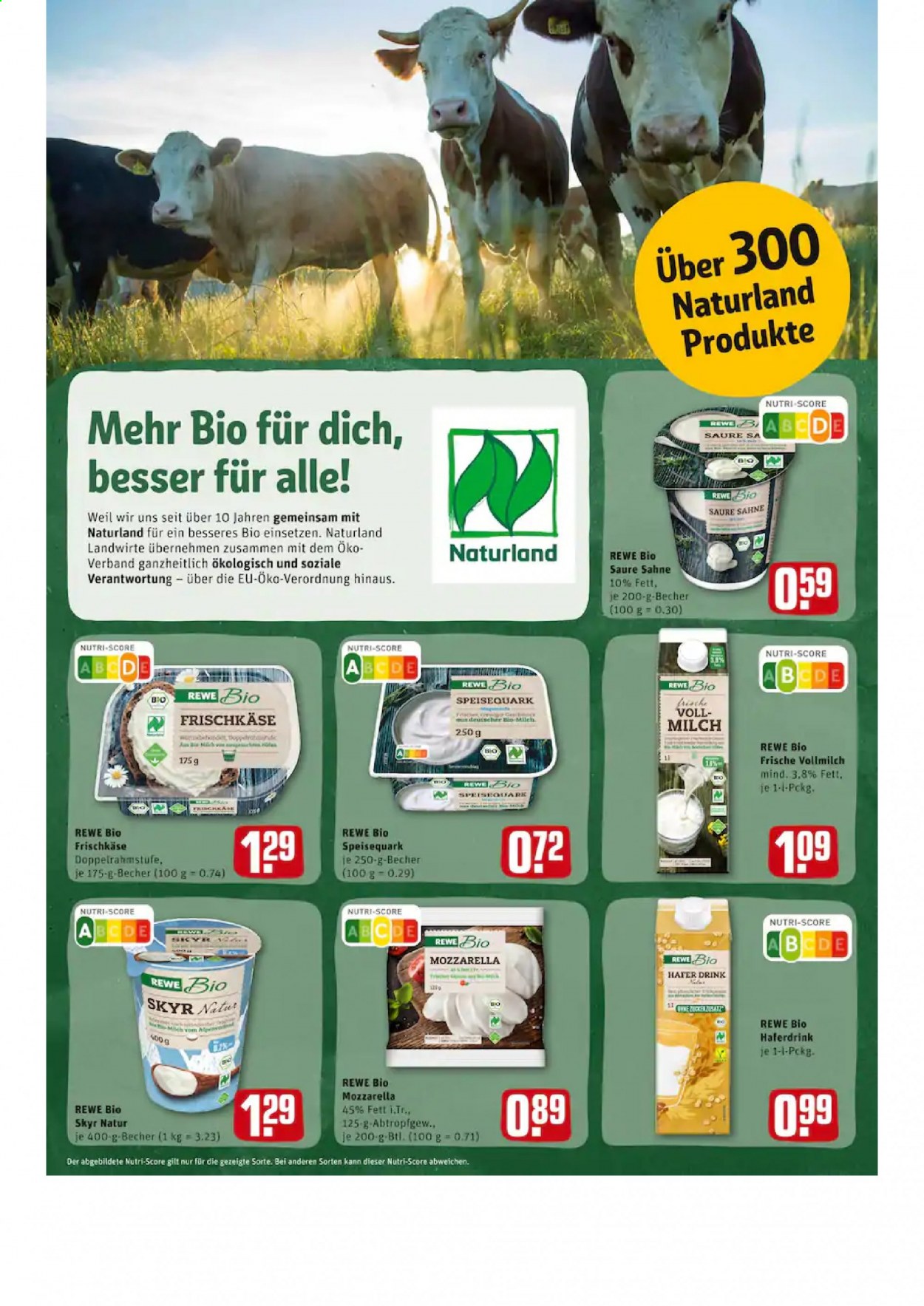 Leták REWE - 25.1.2021 - 25.1.2021. Strana 16