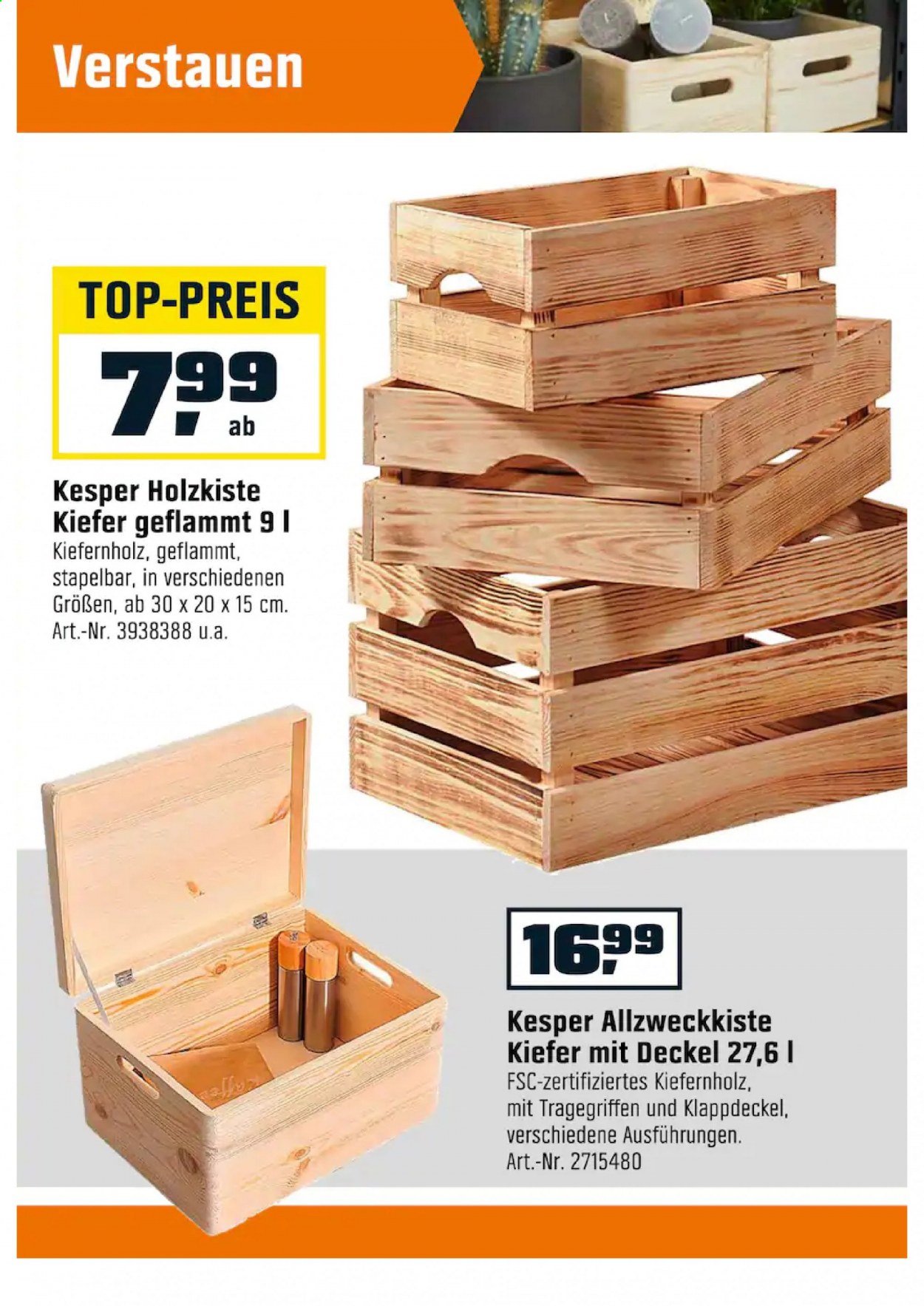 OBI Prospekte  - 22.01.2021 - 6.02.2021. Seite 13