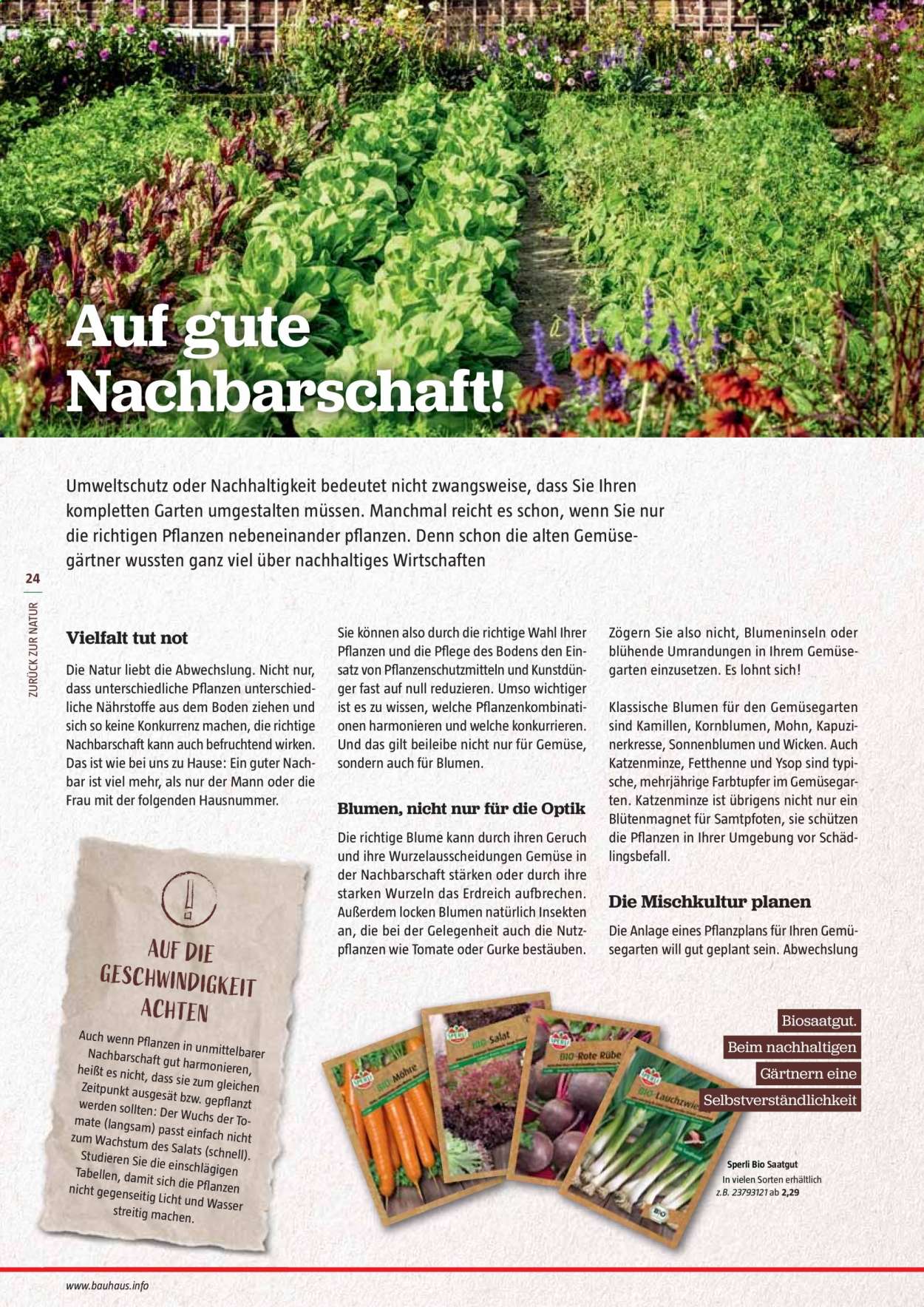 Bauhaus Prospekte  - 30.01.2021 - 30.06.2021. Seite 24