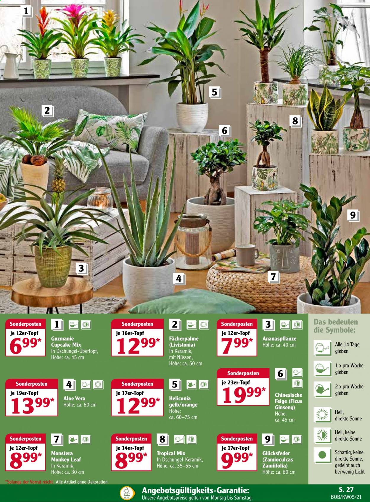 Globus Prospekte  - 1.02.2021 - 6.02.2021. Seite 27