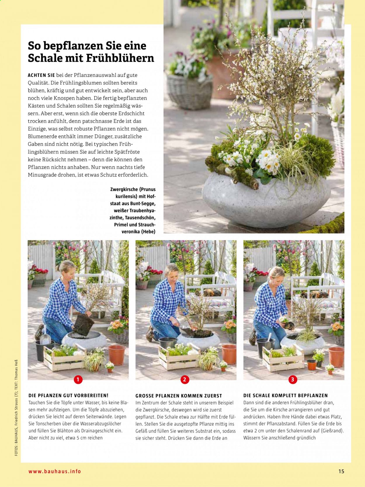 Bauhaus Prospekte  - 29.01.2021 - 31.07.2021. Seite 15