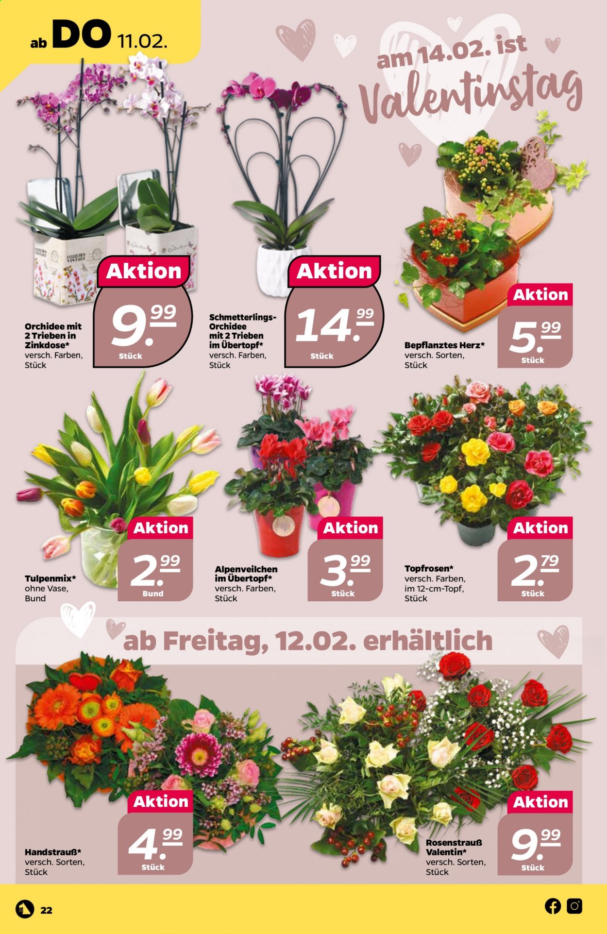 Netto Prospekte  - 8.02.2021 - 13.02.2021. Seite 22