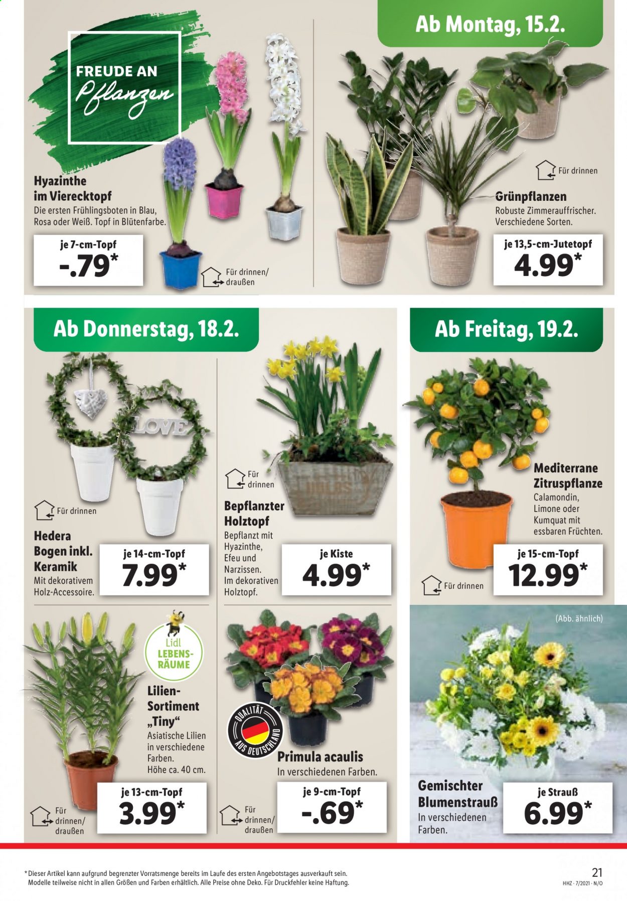 Lidl Prospekte  - 15.02.2021 - 20.02.2021. Seite 21