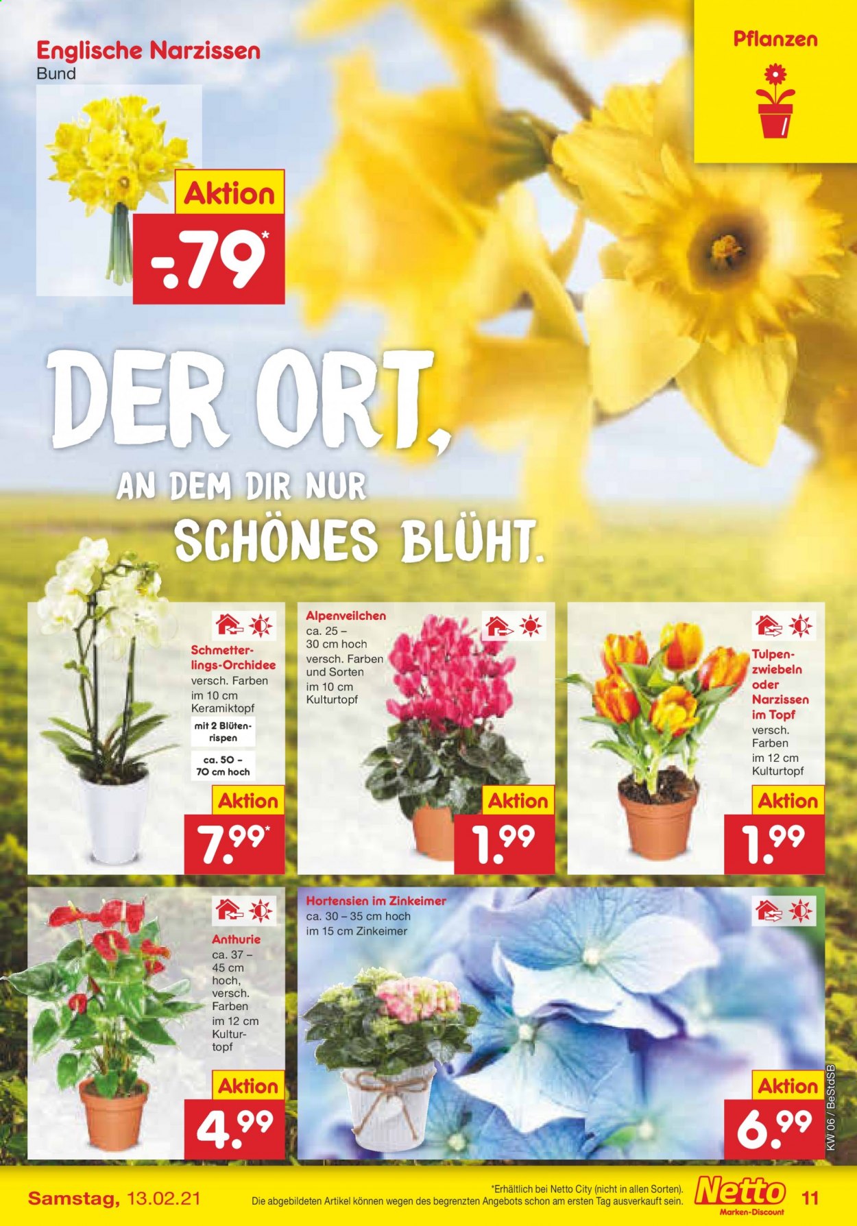 Netto Marken-Discount Prospekte  - 8.02.2021 - 13.02.2021. Seite 11