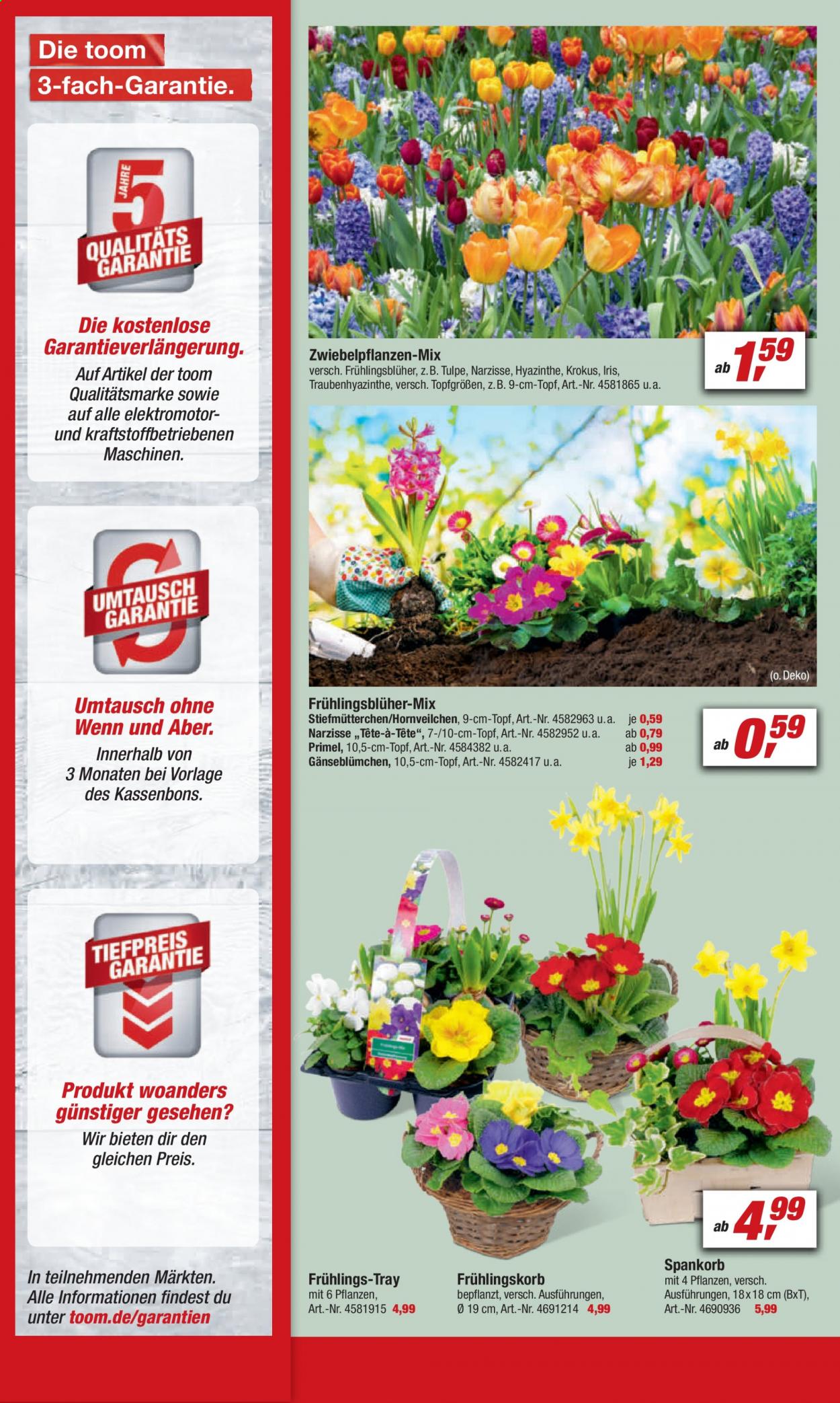 toom Baumarkt Prospekte  - 13.02.2021 - 19.02.2021. Seite 4