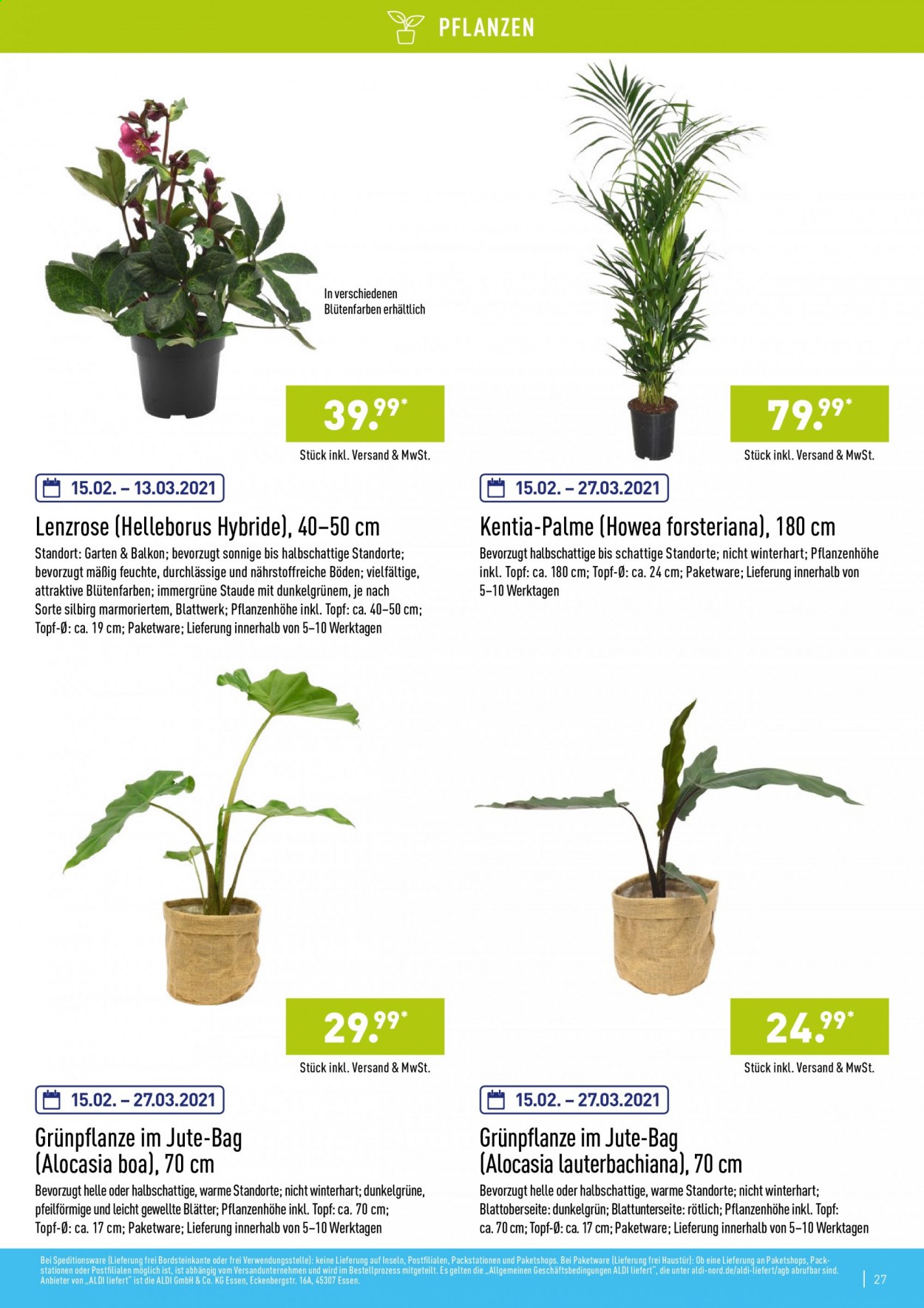 ALDI Nord Prospekte . Seite 27