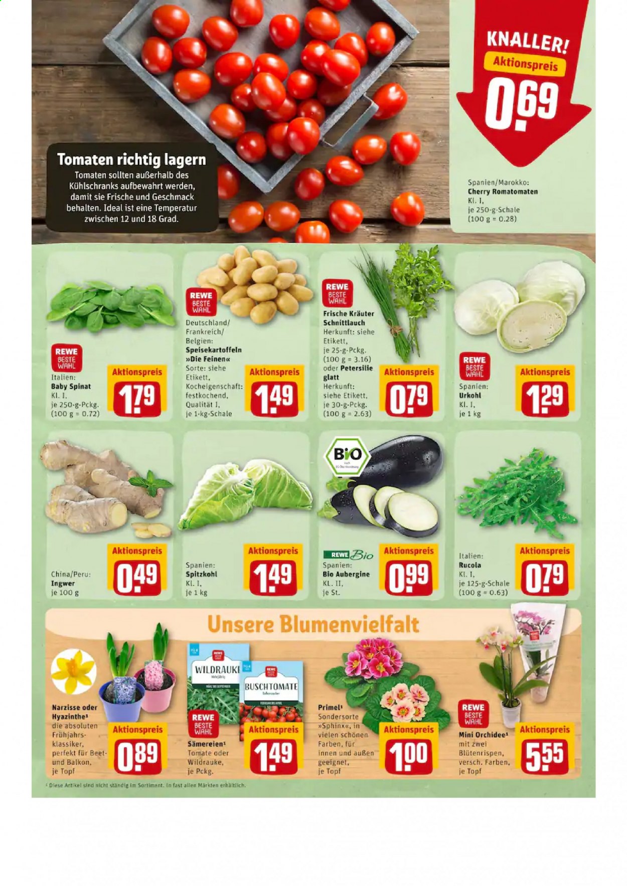 REWE Prospekte  - 22.02.2021 - 27.02.2021. Seite 9