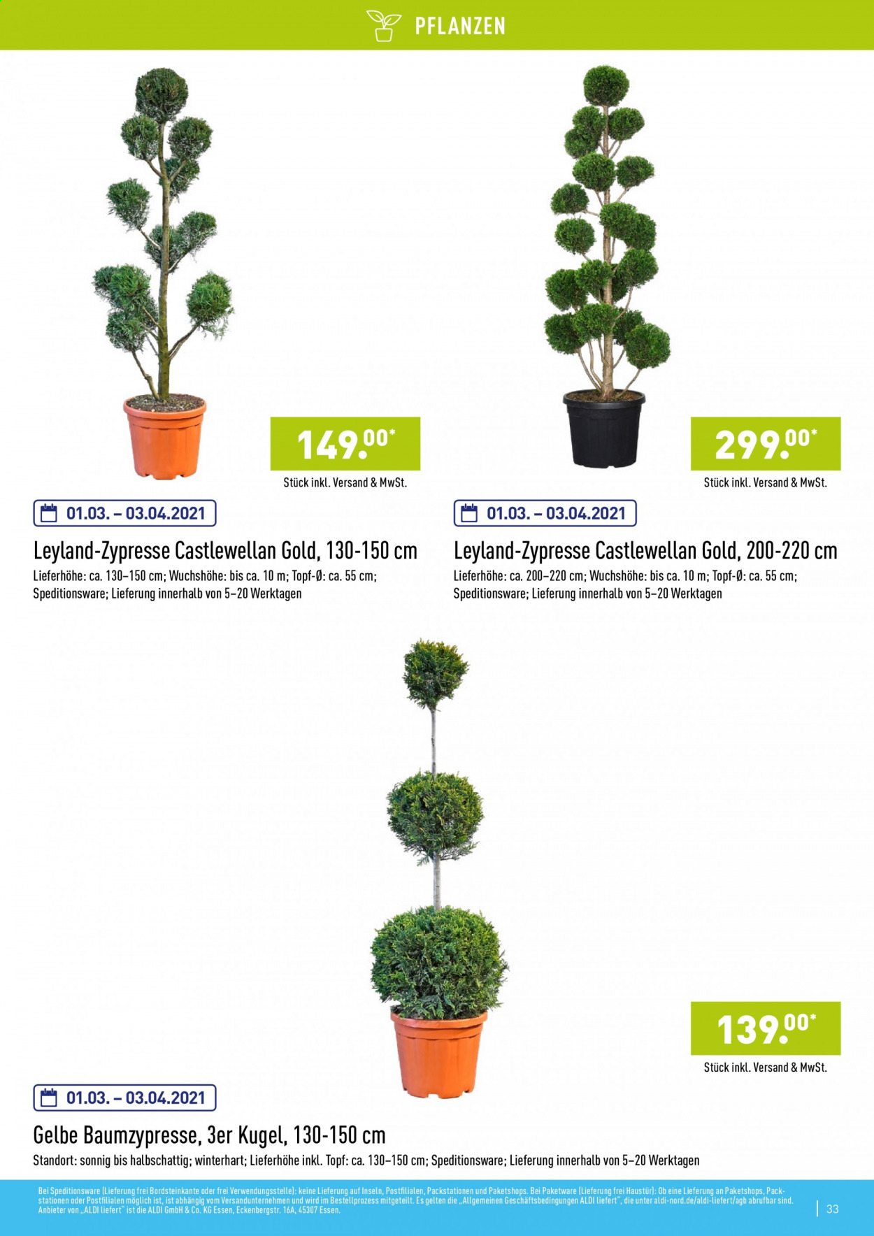 ALDI Nord Prospekte . Seite 33