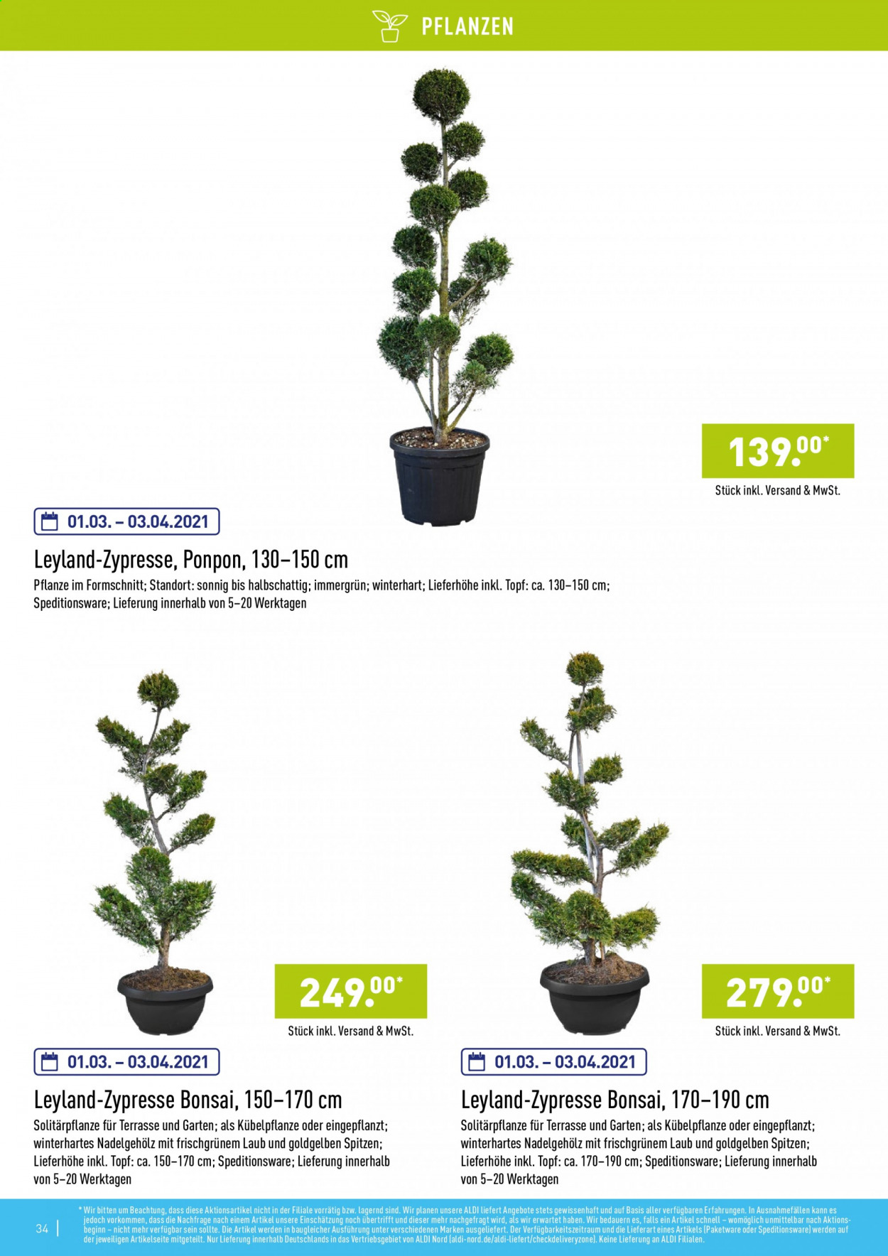 ALDI Nord Prospekte . Seite 34