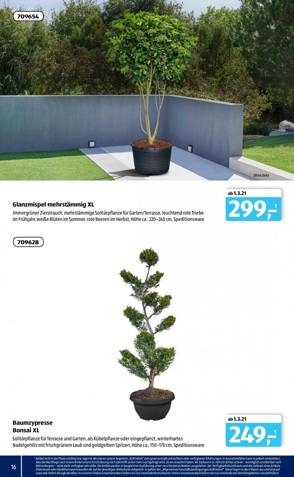 ALDI SÜD Prospekte . Seite 16