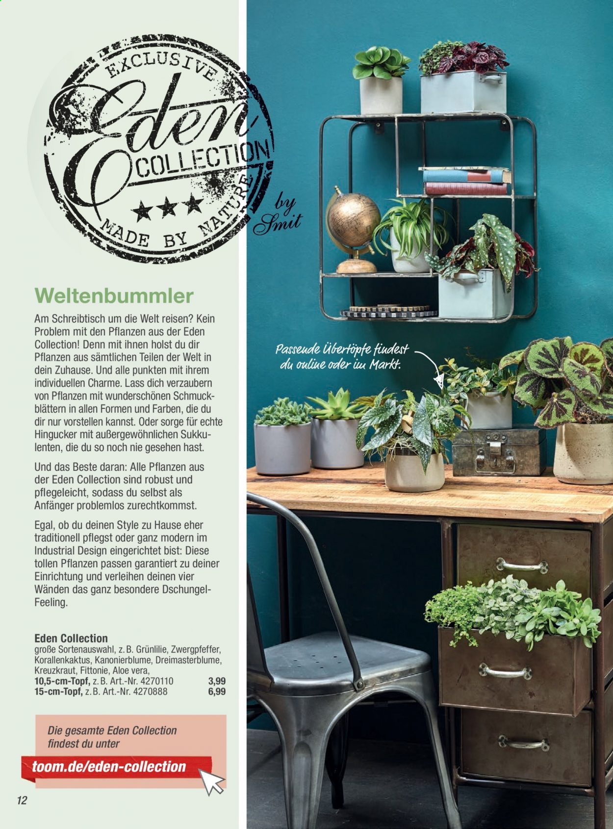 toom Baumarkt Prospekte . Seite 12