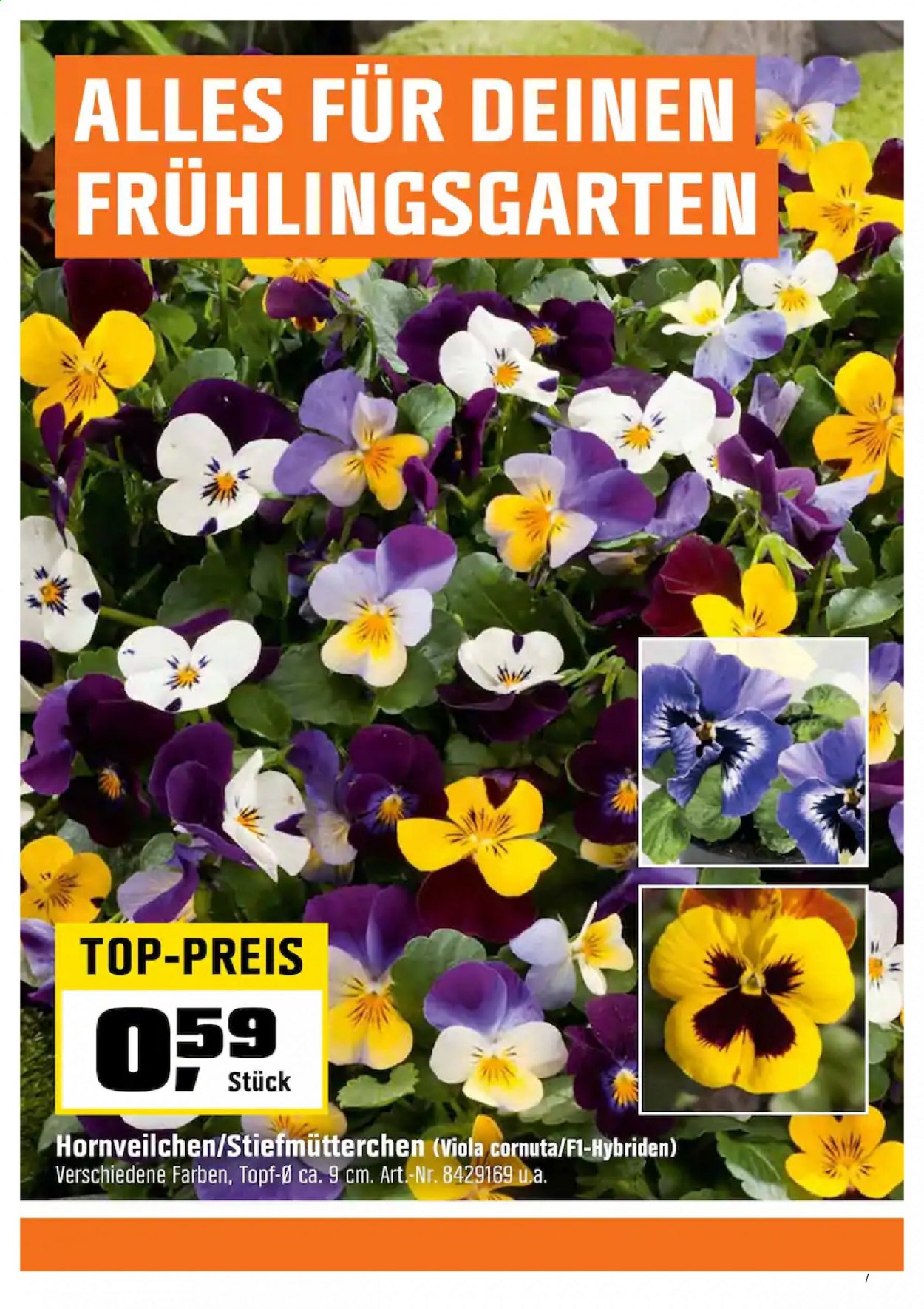 OBI Prospekte  - 24.02.2021 - 6.03.2021. Seite 17