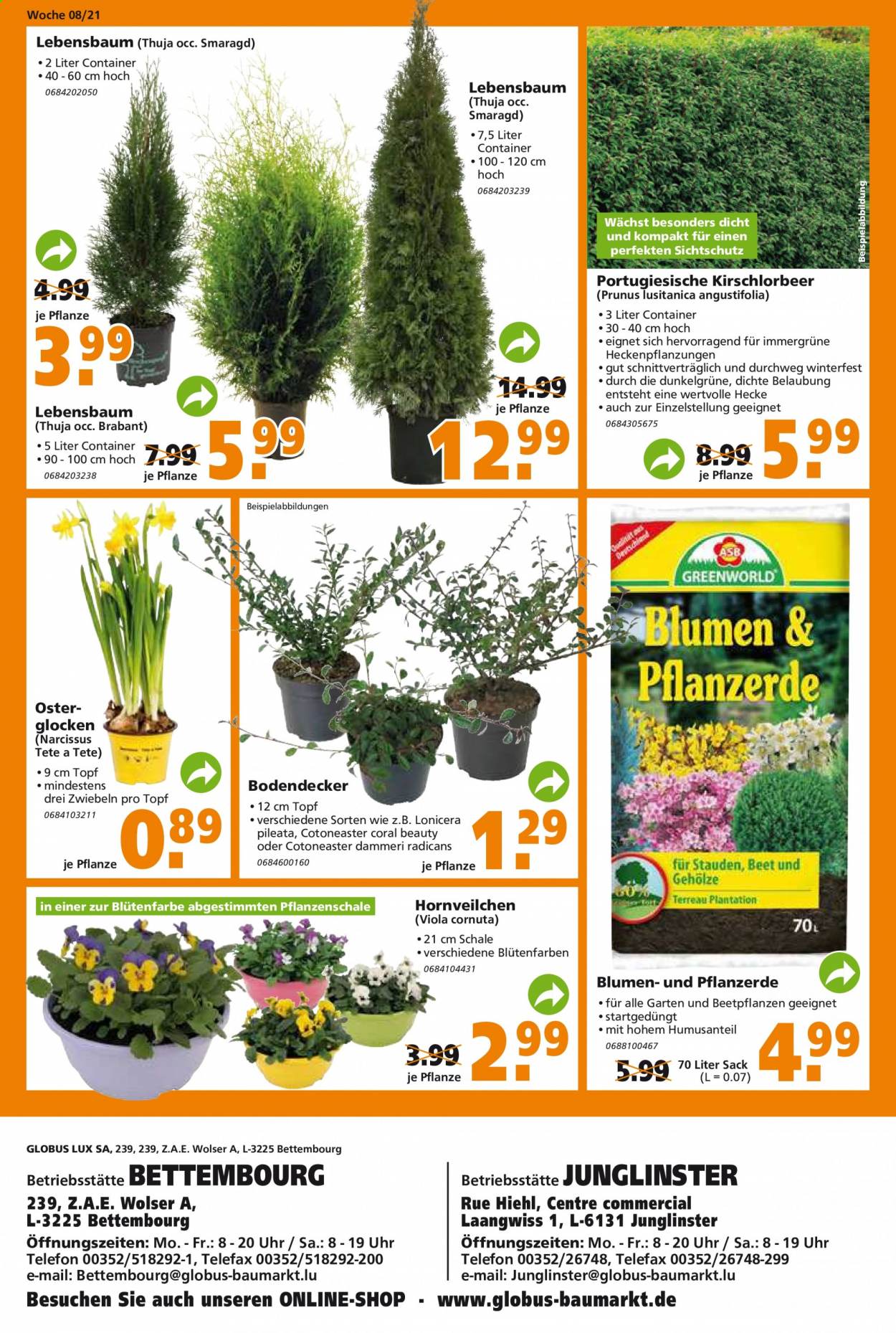 Globus Baumarkt Prospekte  - 23.02.2021 - 2.03.2021. Seite 24