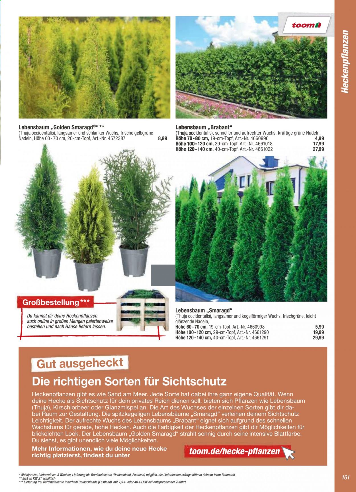 toom Baumarkt Prospekte . Seite 161