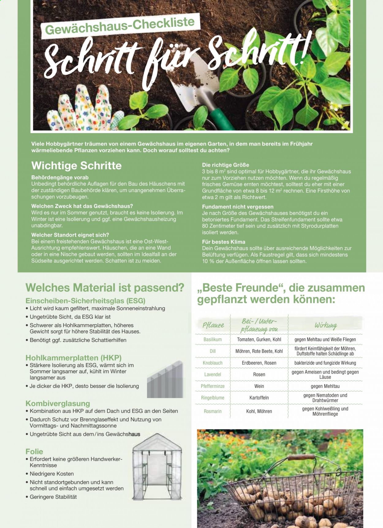 toom Baumarkt Prospekte . Seite 216
