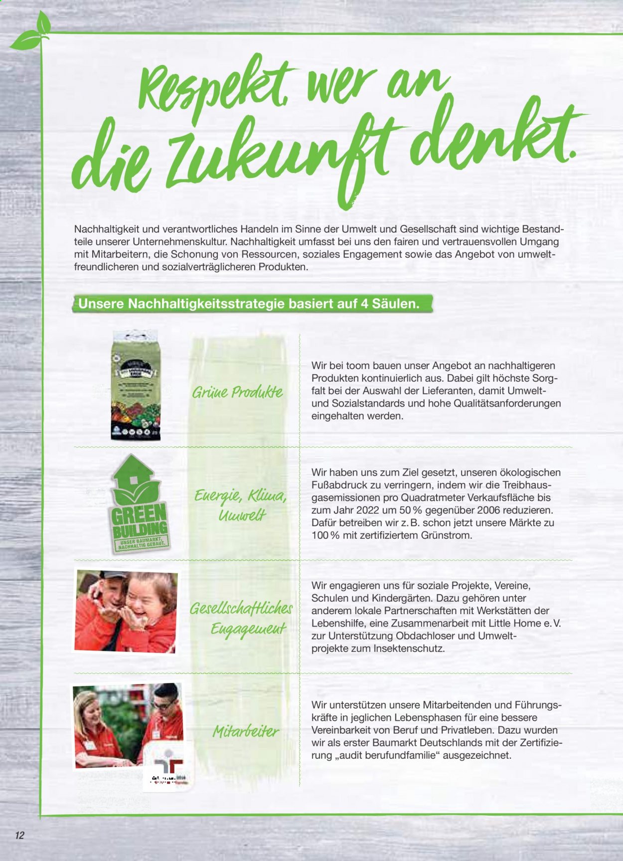 toom Baumarkt Prospekte . Seite 12