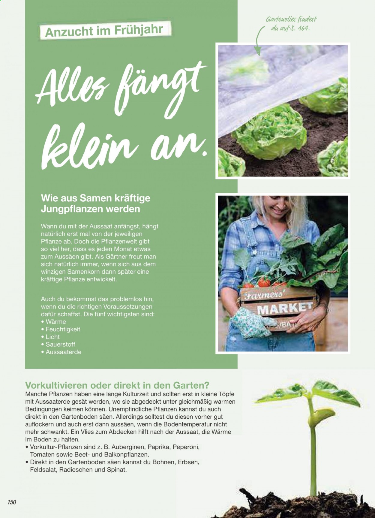 toom Baumarkt Prospekte . Seite 150