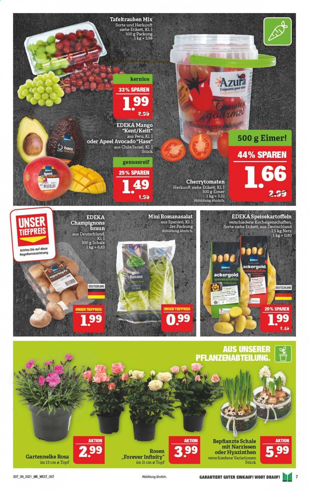 Marktkauf Prospekte  - 1.03.2021 - 6.03.2021. Seite 11