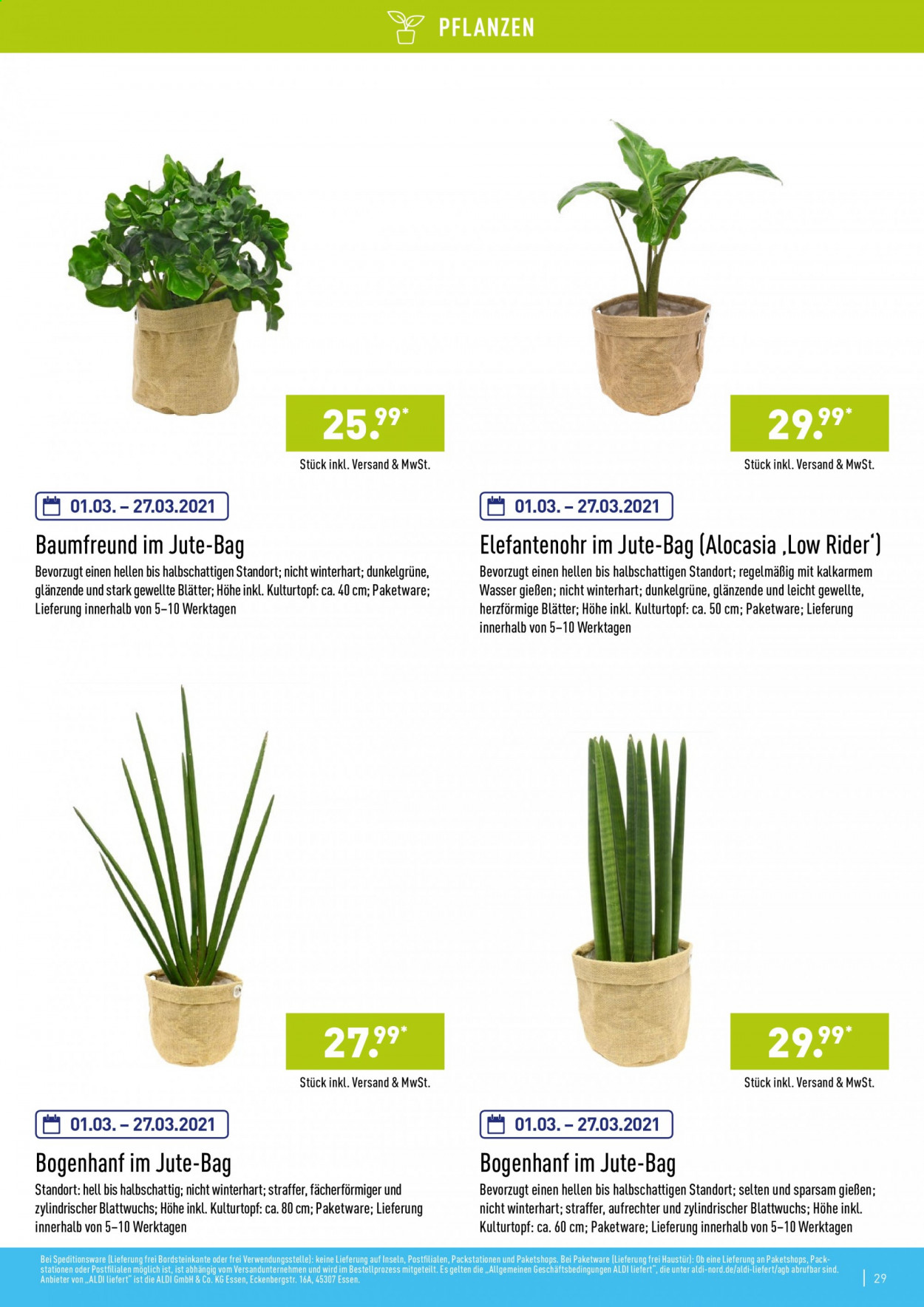 ALDI Nord Prospekte . Seite 29