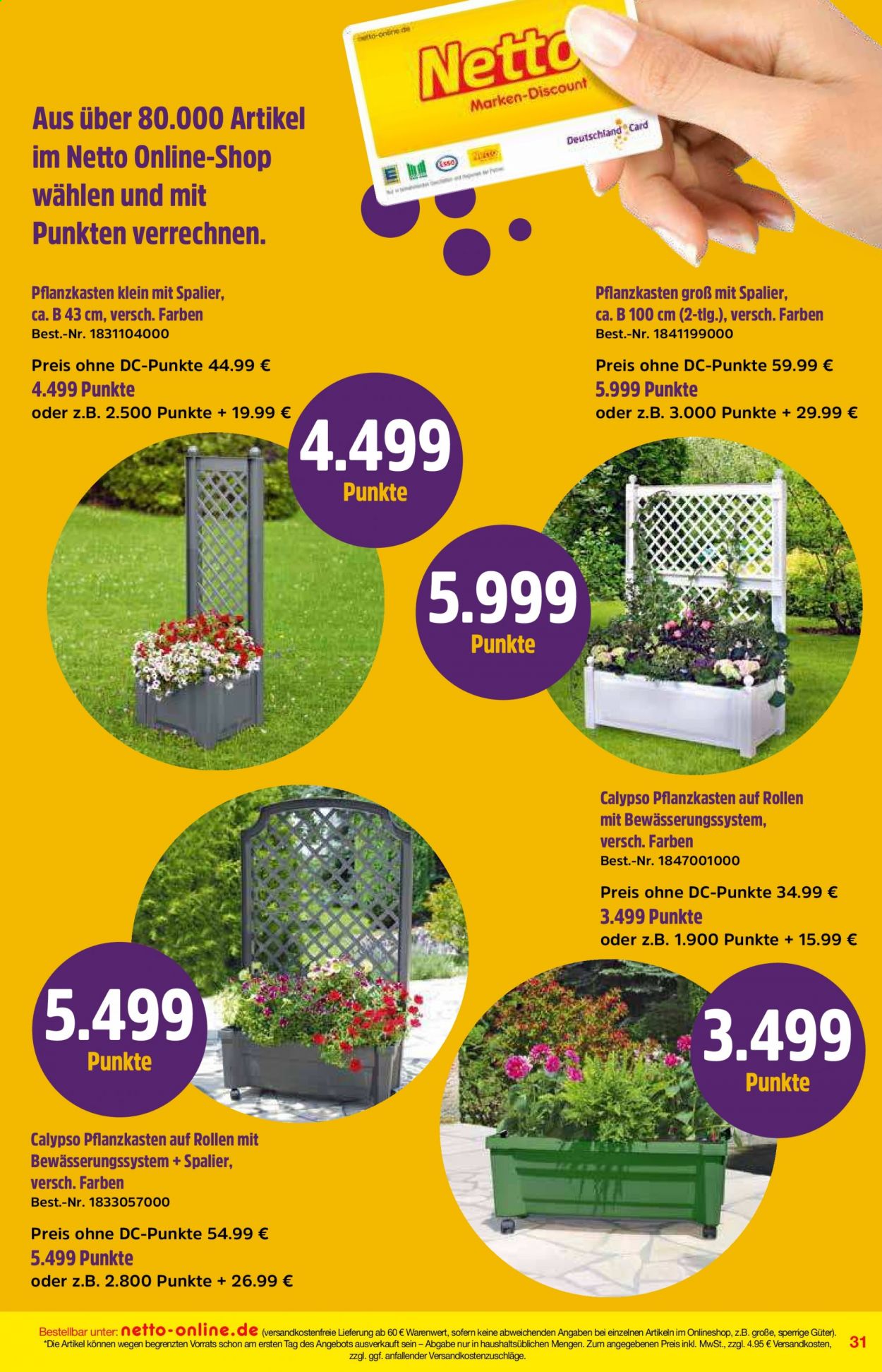 Netto Marken-Discount Prospekte  - 1.03.2021 - 31.03.2021. Seite 31
