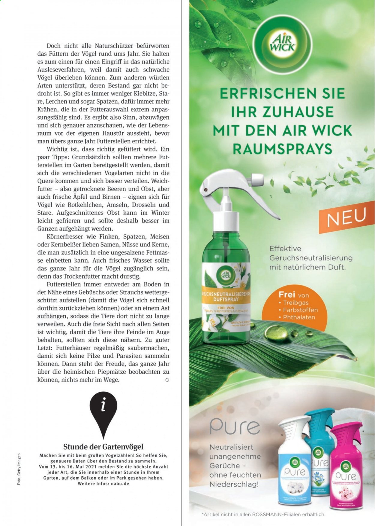 Rossmann Prospekte  - 1.03.2021 - 31.03.2021. Seite 43
