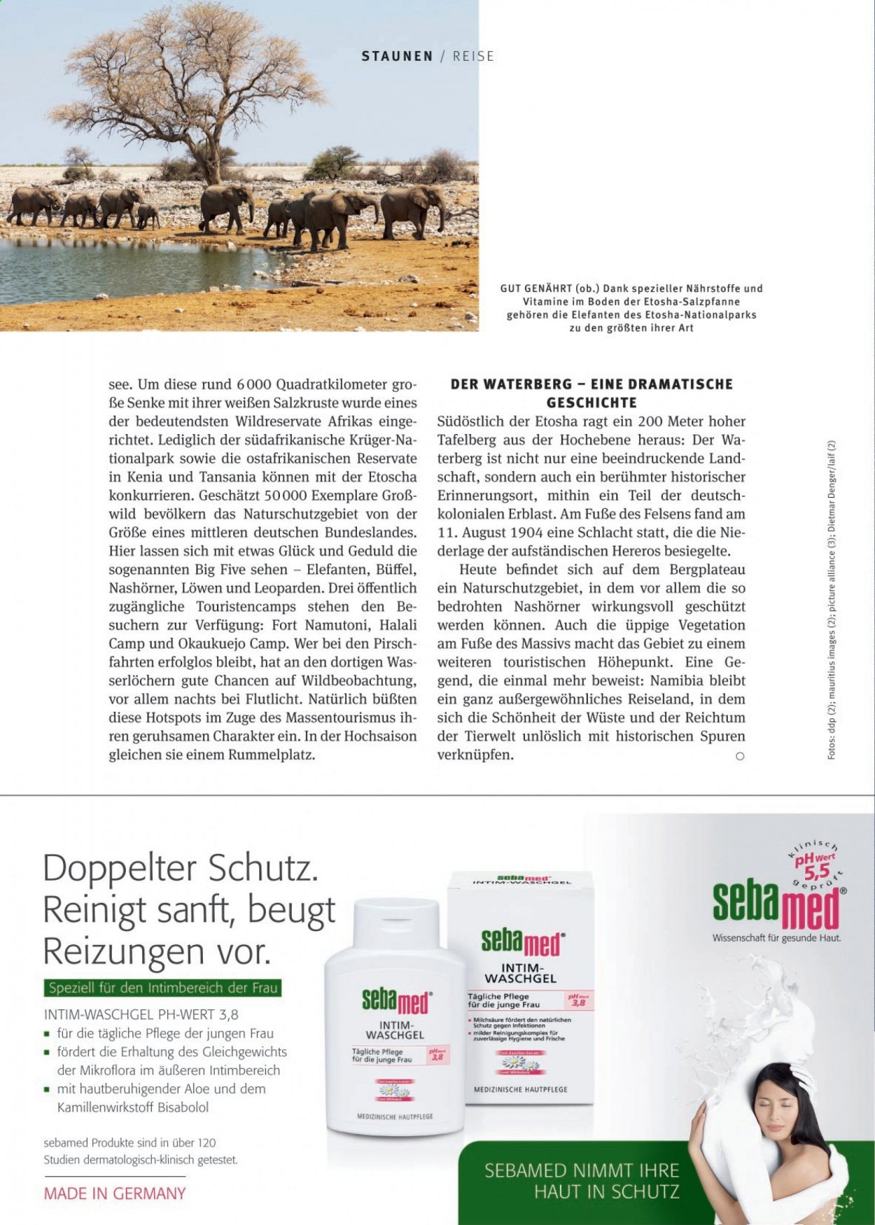Rossmann Prospekte  - 1.03.2021 - 31.03.2021. Seite 98