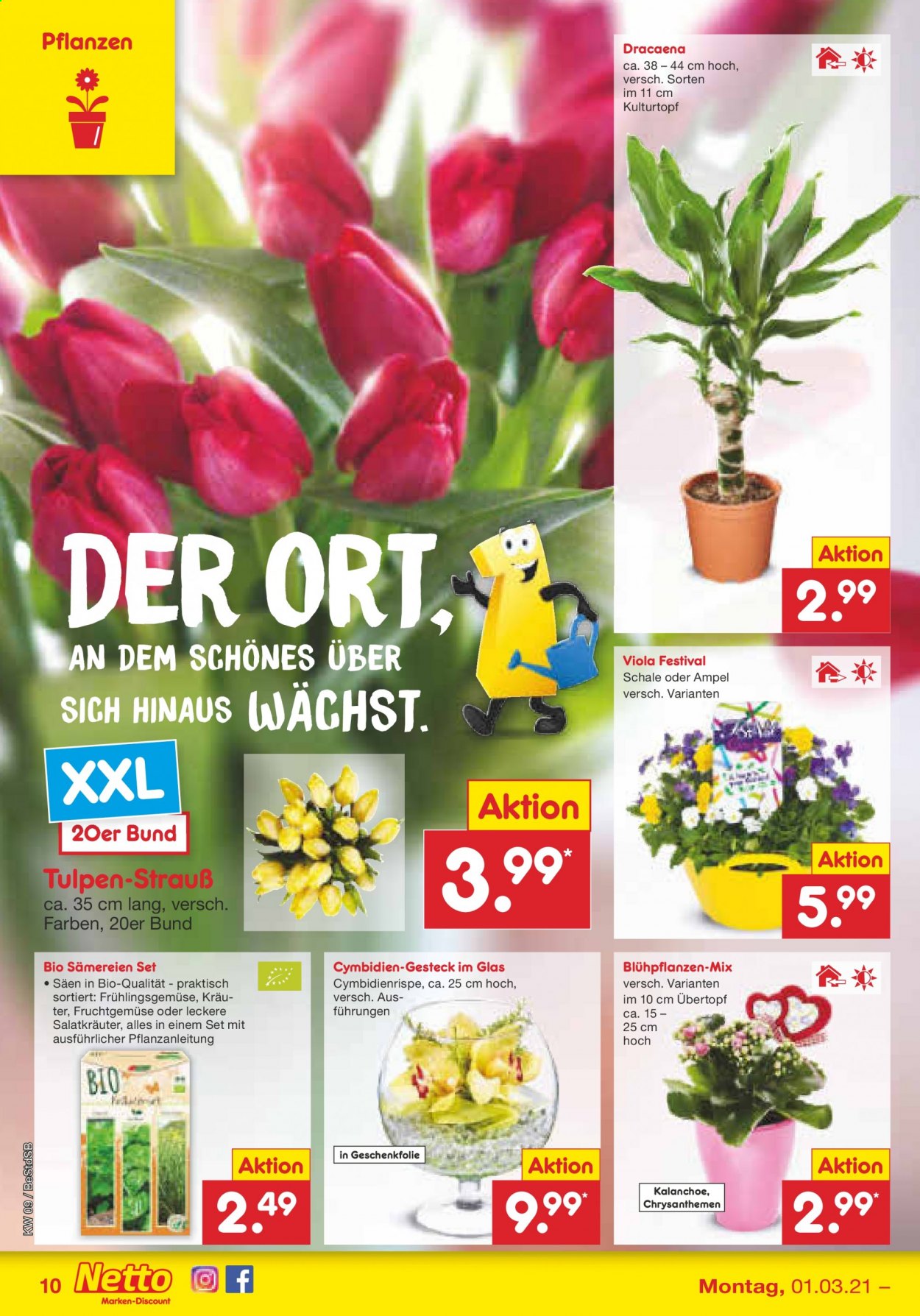 Netto Marken-Discount Prospekte  - 1.03.2021 - 6.03.2021. Seite 10