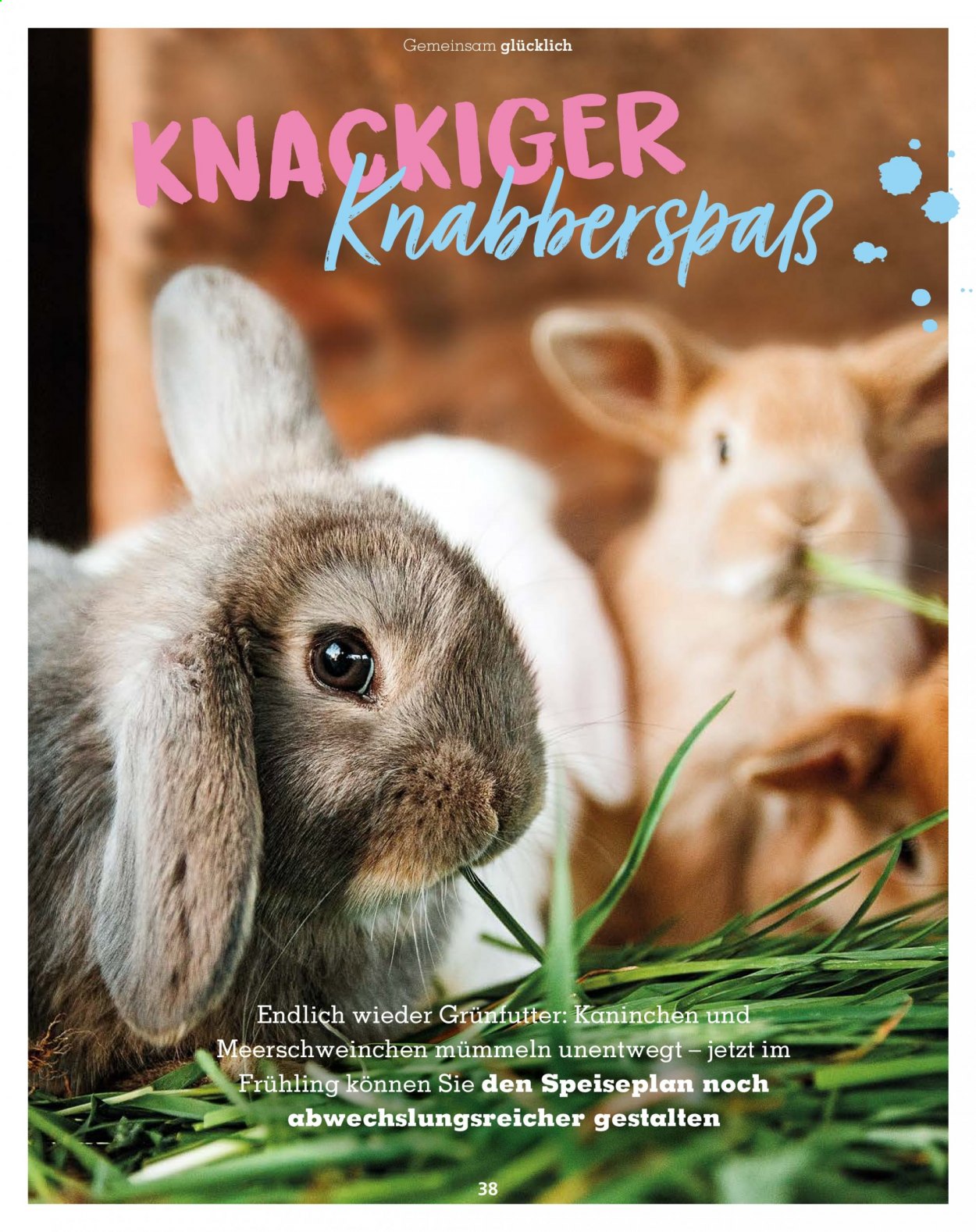 Fressnapf Prospekte  - 1.03.2021 - 30.04.2021. Seite 38