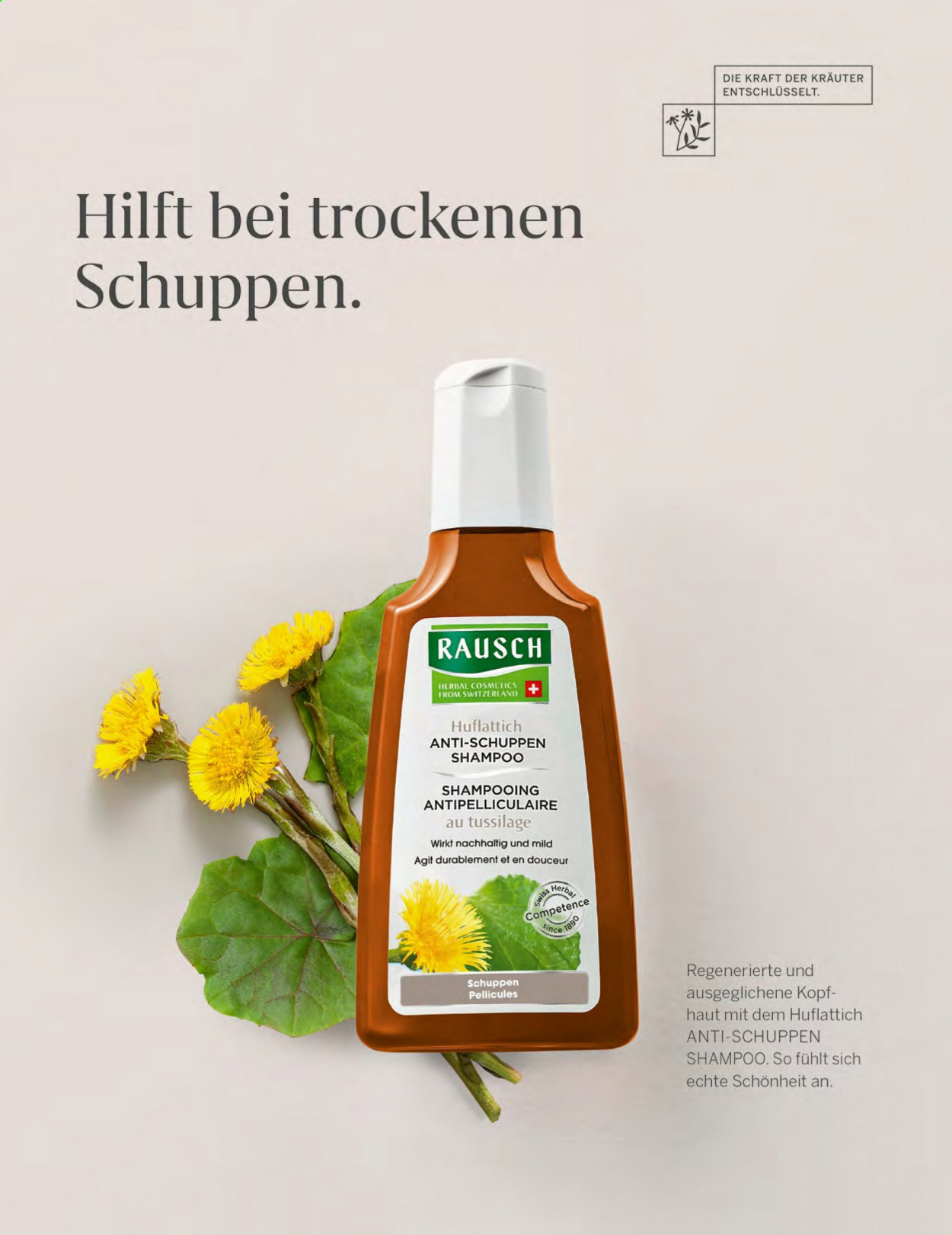 Müller Prospekte . Seite 33