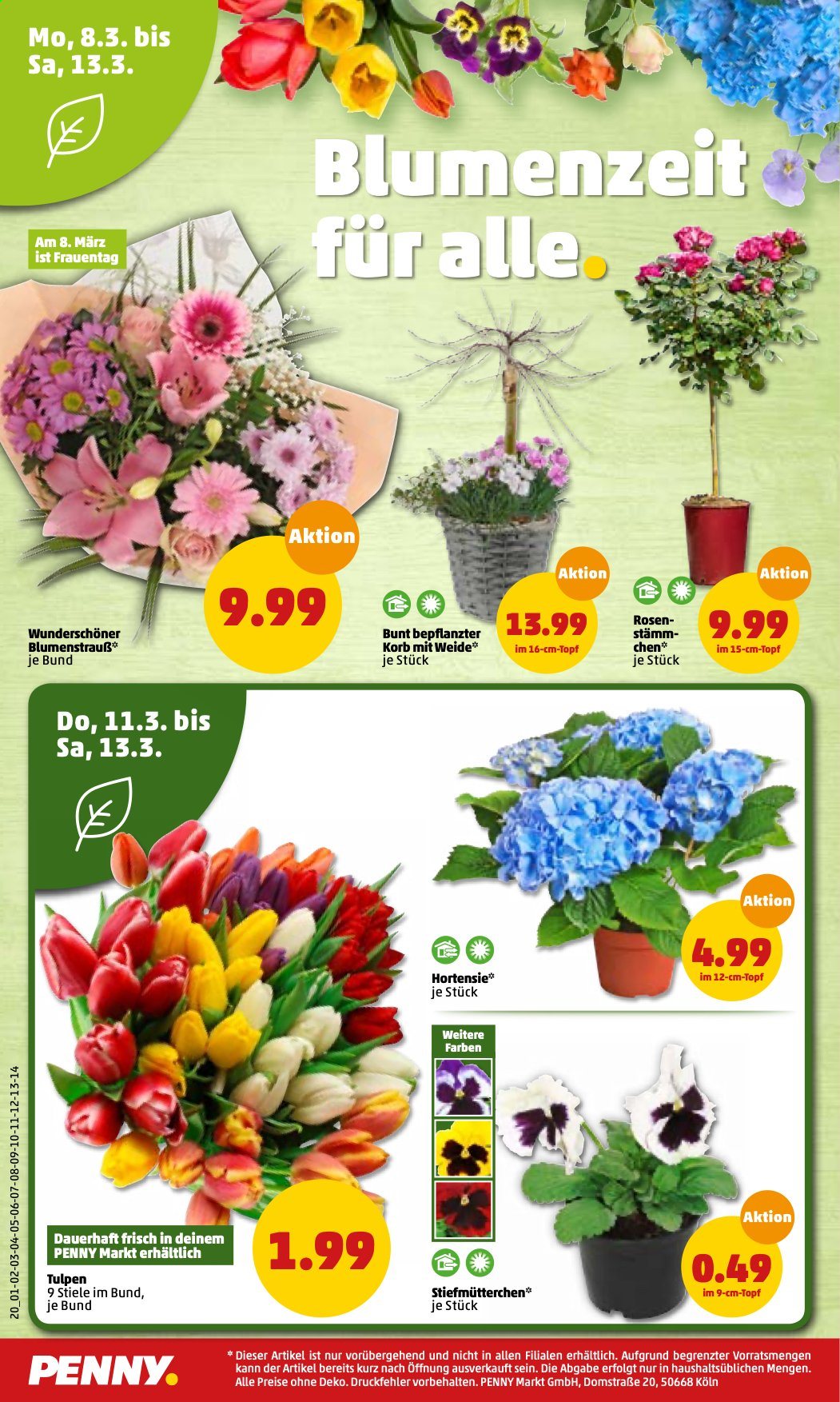 Penny Prospekte  - 8.03.2021 - 13.03.2021. Seite 20