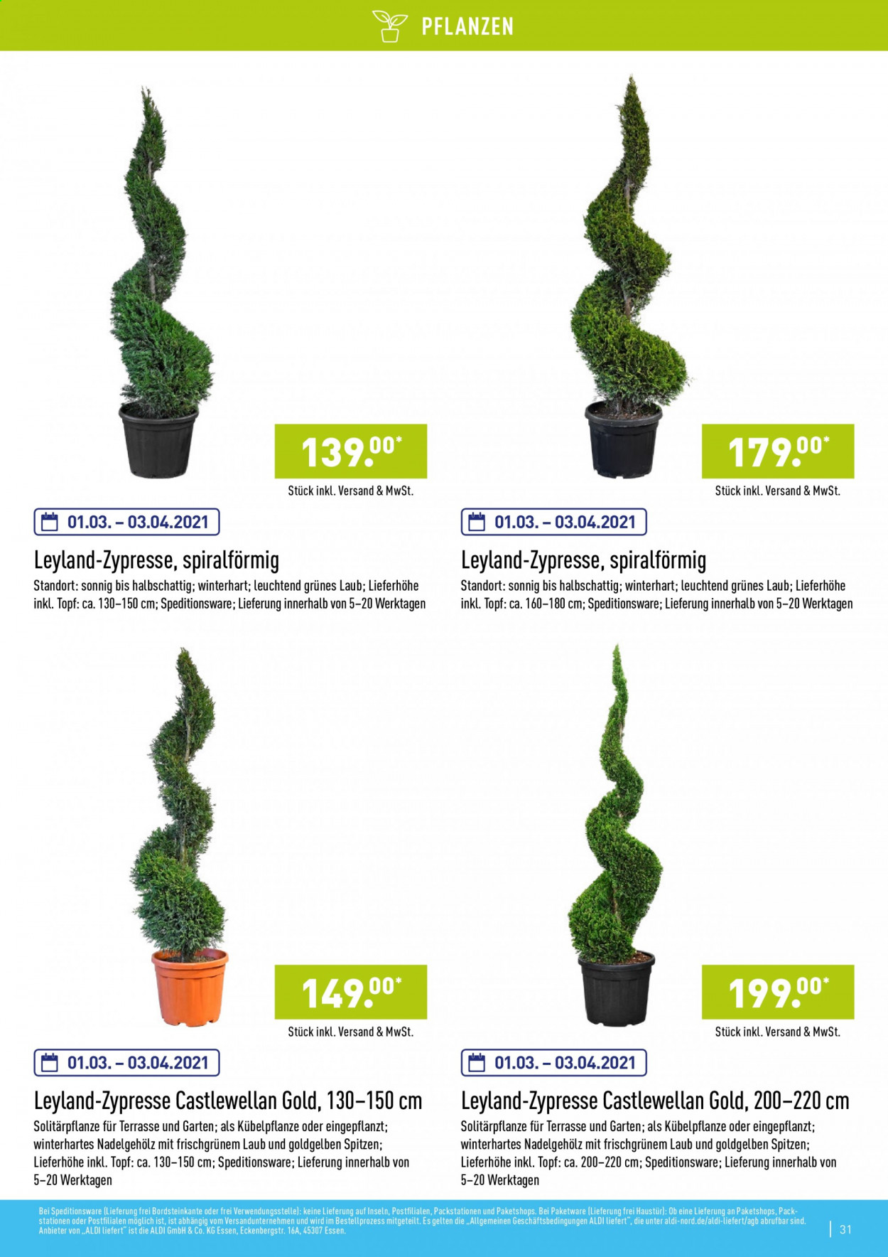 ALDI Nord Prospekte . Seite 31