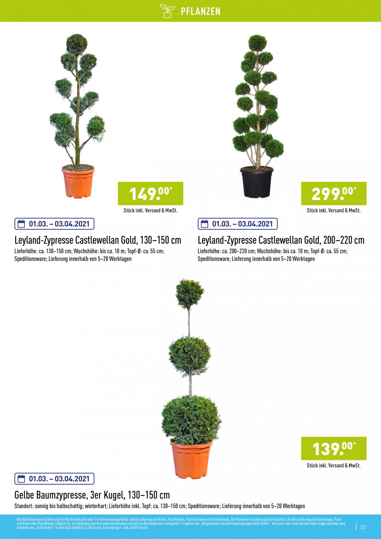 ALDI Nord Prospekte . Seite 33