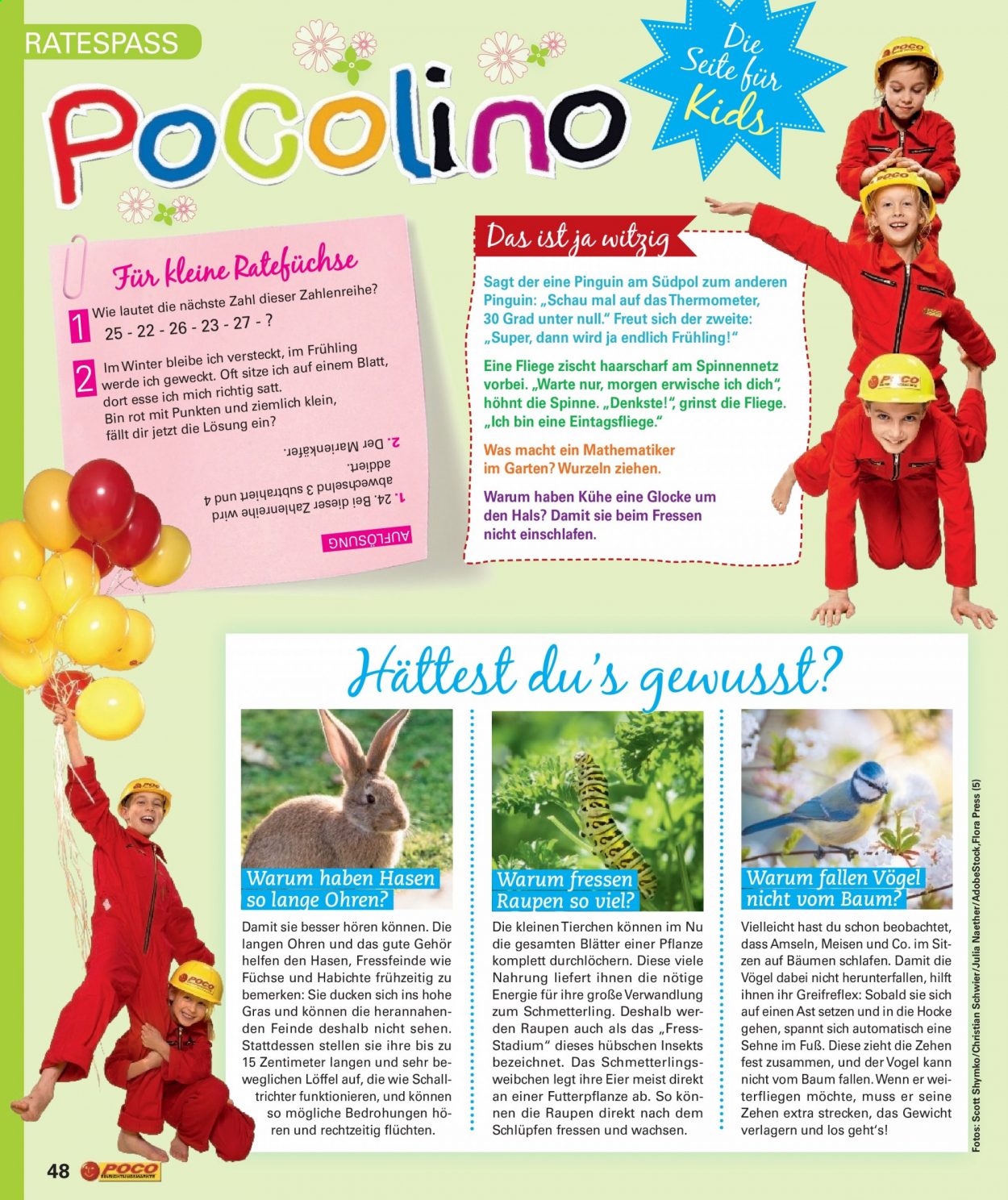 Poco Prospekte  - 8.03.2021 - 2.05.2021. Seite 48