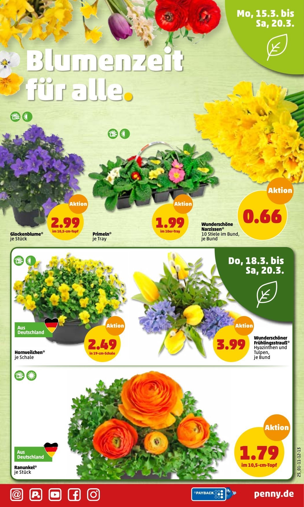 Penny Prospekte  - 15.03.2021 - 20.03.2021. Seite 25