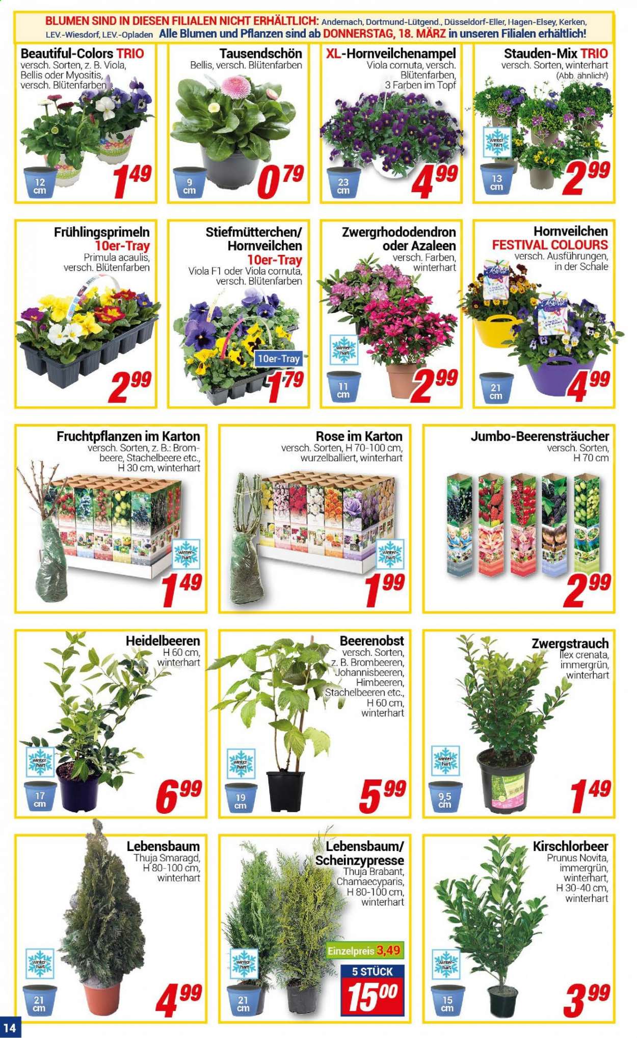 CENTERSHOP Prospekte  - 15.03.2021 - 20.03.2021. Seite 14