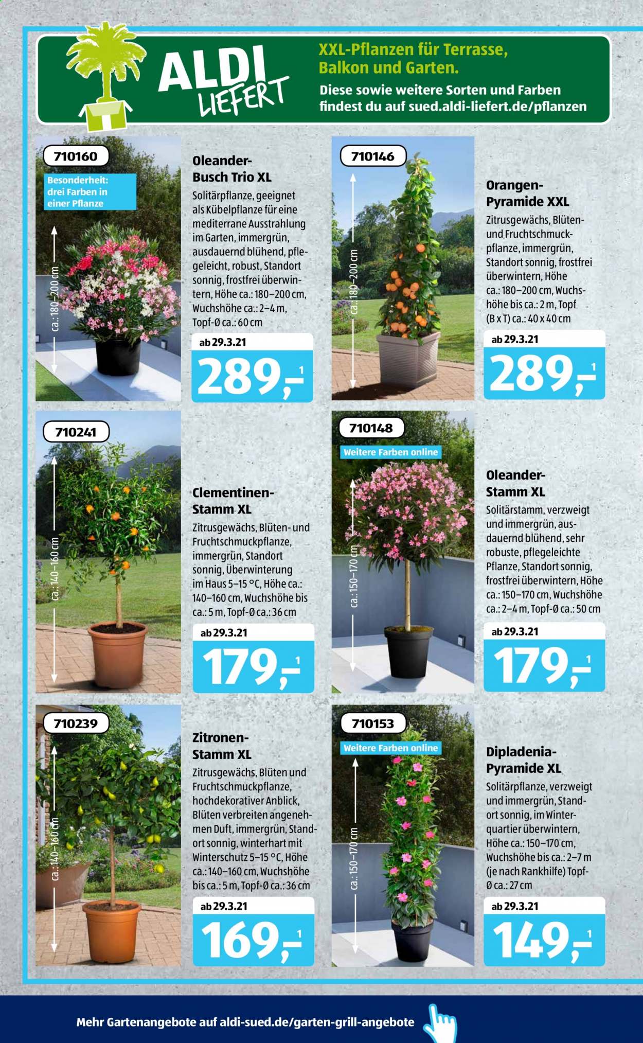 ALDI SÜD Prospekte  - 29.03.2021 - 3.04.2021. Seite 20