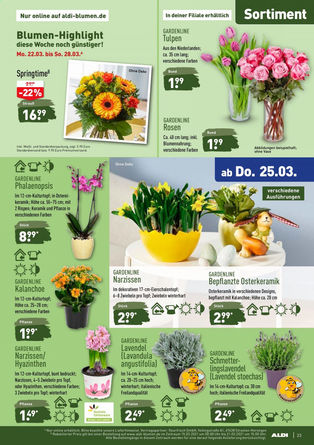 ALDI Nord Prospekte  - 22.03.2021 - 27.03.2021. Seite 23
