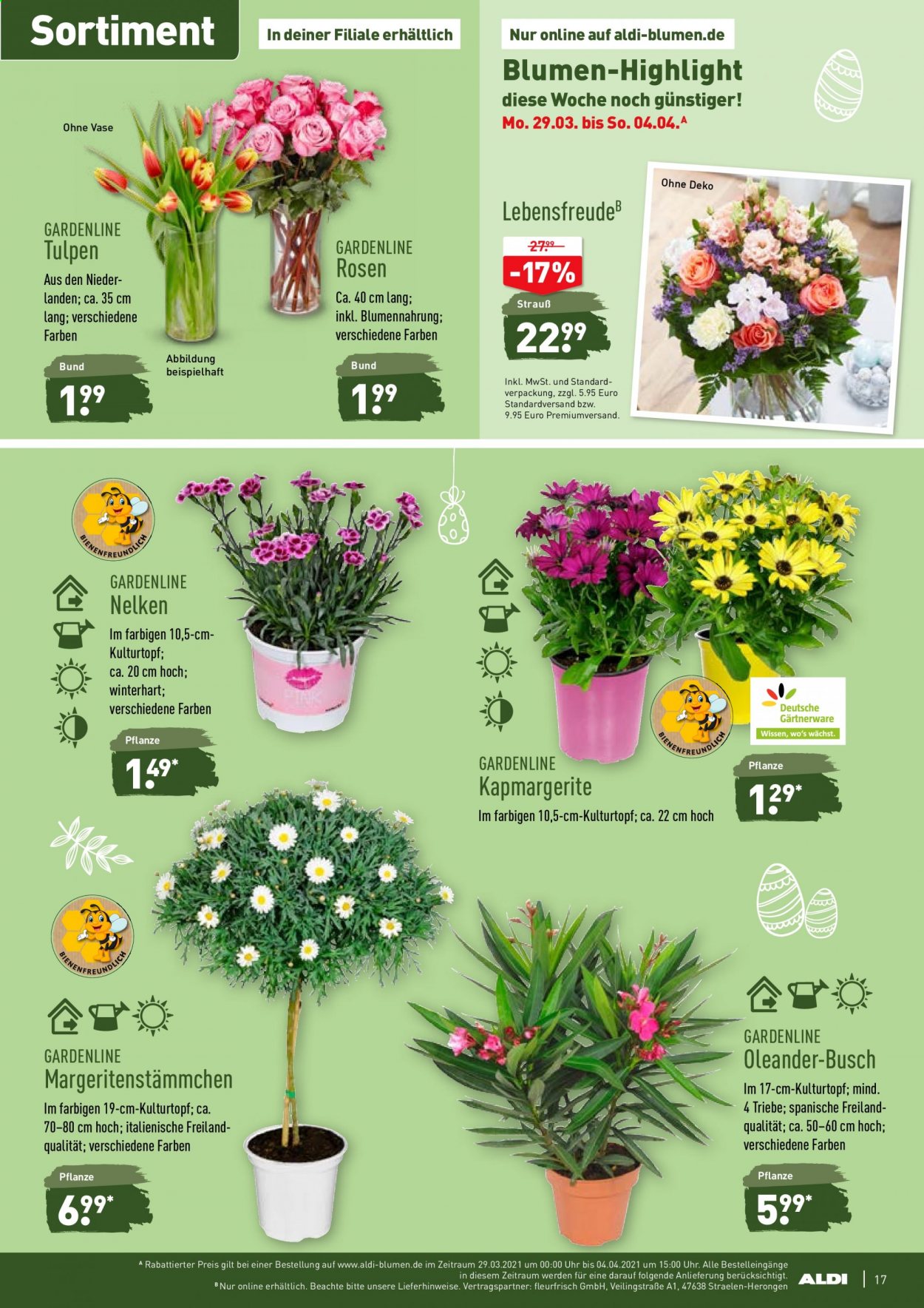 ALDI Nord Prospekte  - 29.03.2021 - 3.04.2021. Seite 17