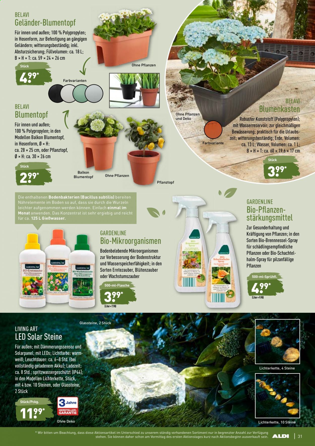 ALDI Nord Prospekte  - 29.03.2021 - 3.04.2021. Seite 31