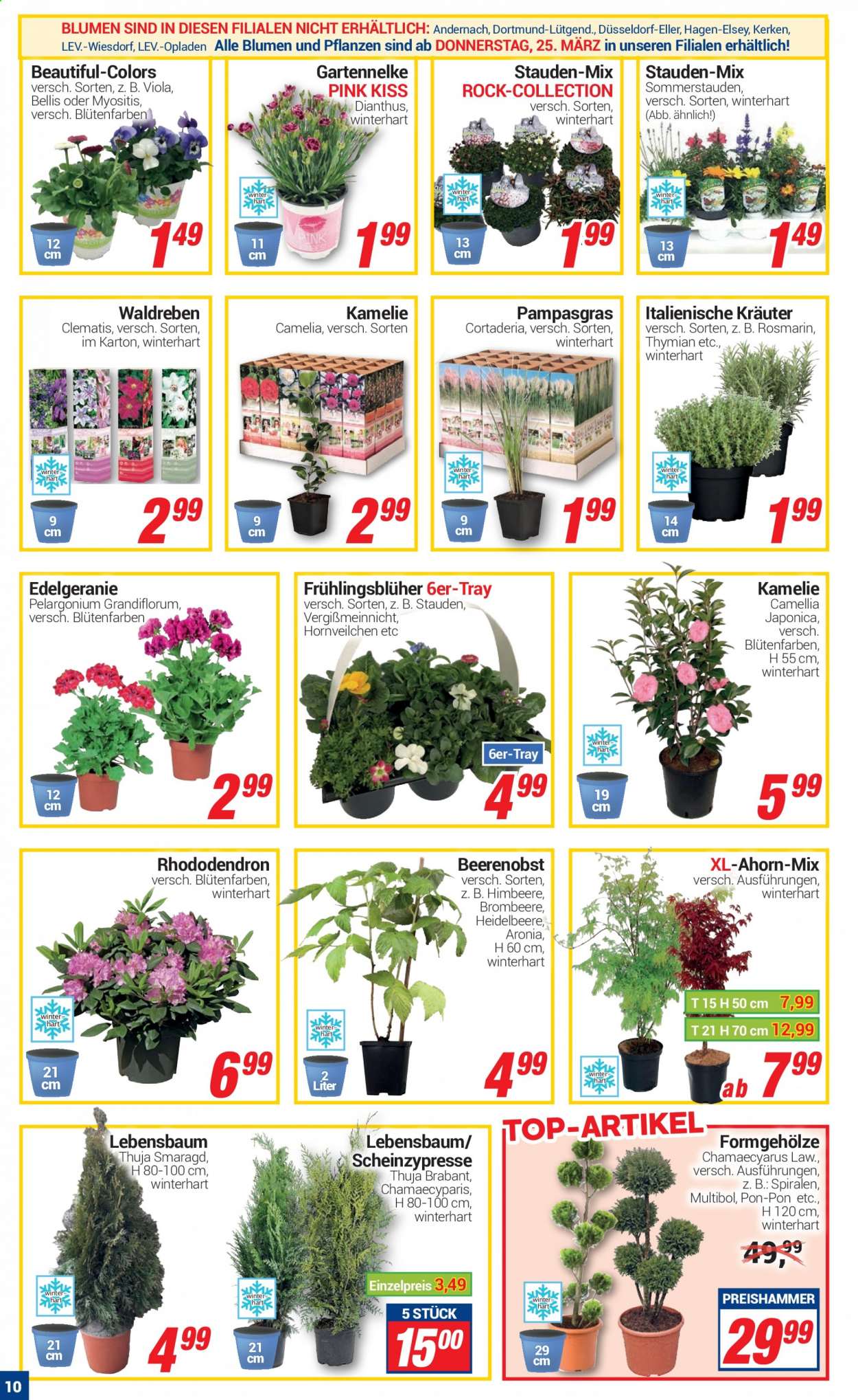 CENTERSHOP Prospekte  - 22.03.2021 - 27.03.2021. Seite 10