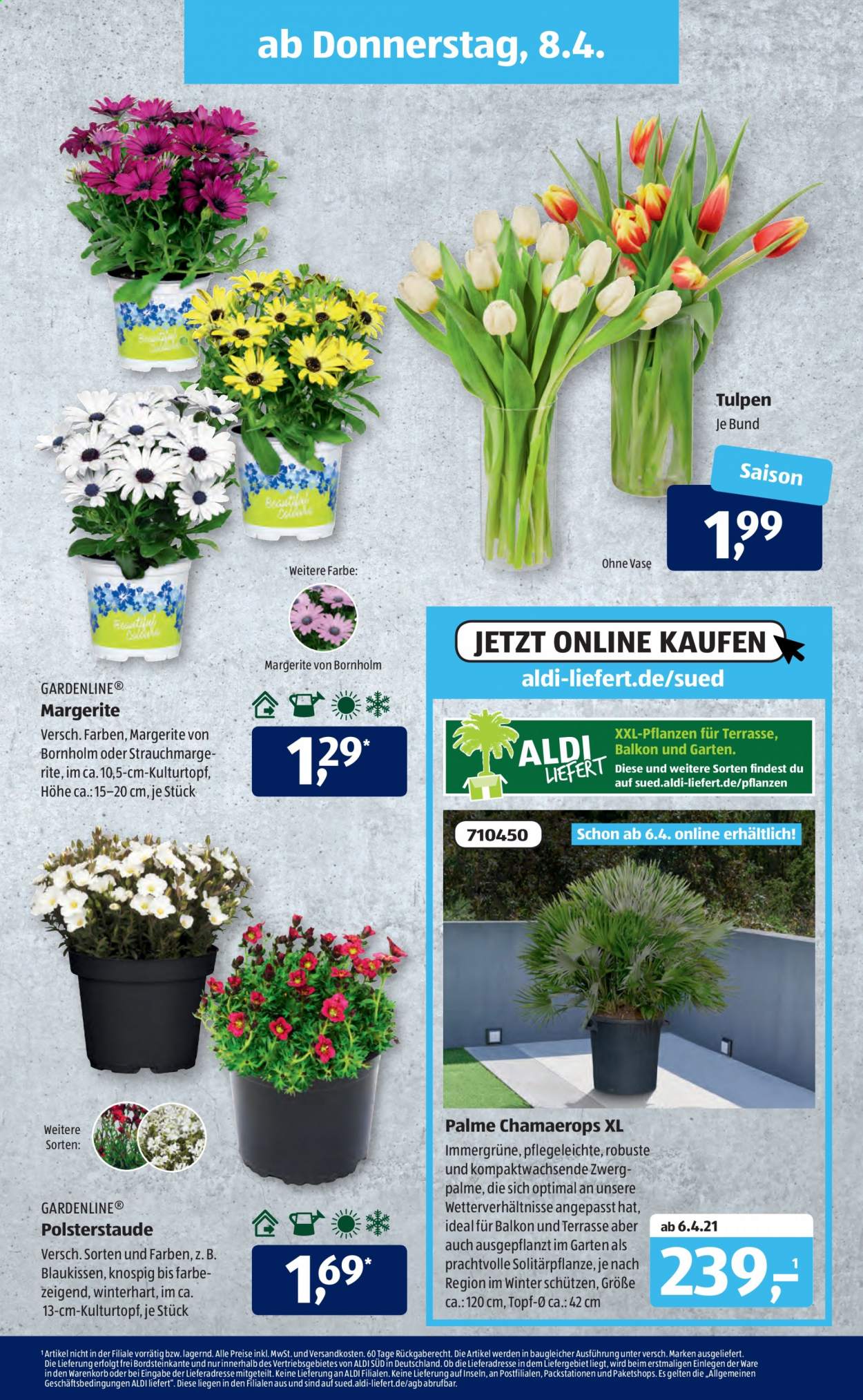 ALDI SÜD Prospekte  - 6.04.2021 - 10.04.2021. Seite 19
