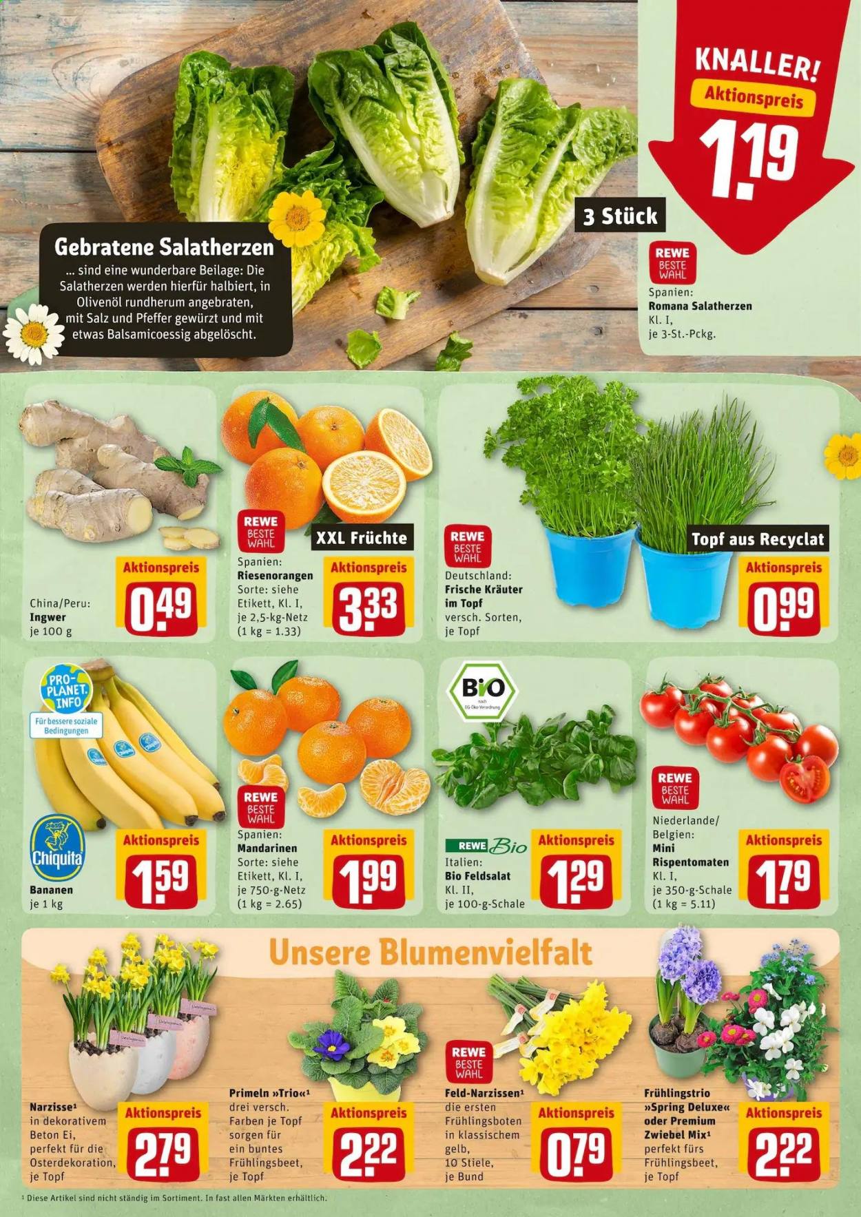 REWE Prospekte  - 22.03.2021 - 27.03.2021. Seite 7