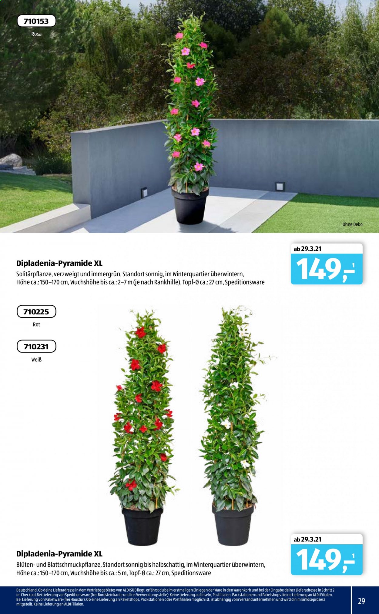 ALDI SÜD Prospekte . Seite 29