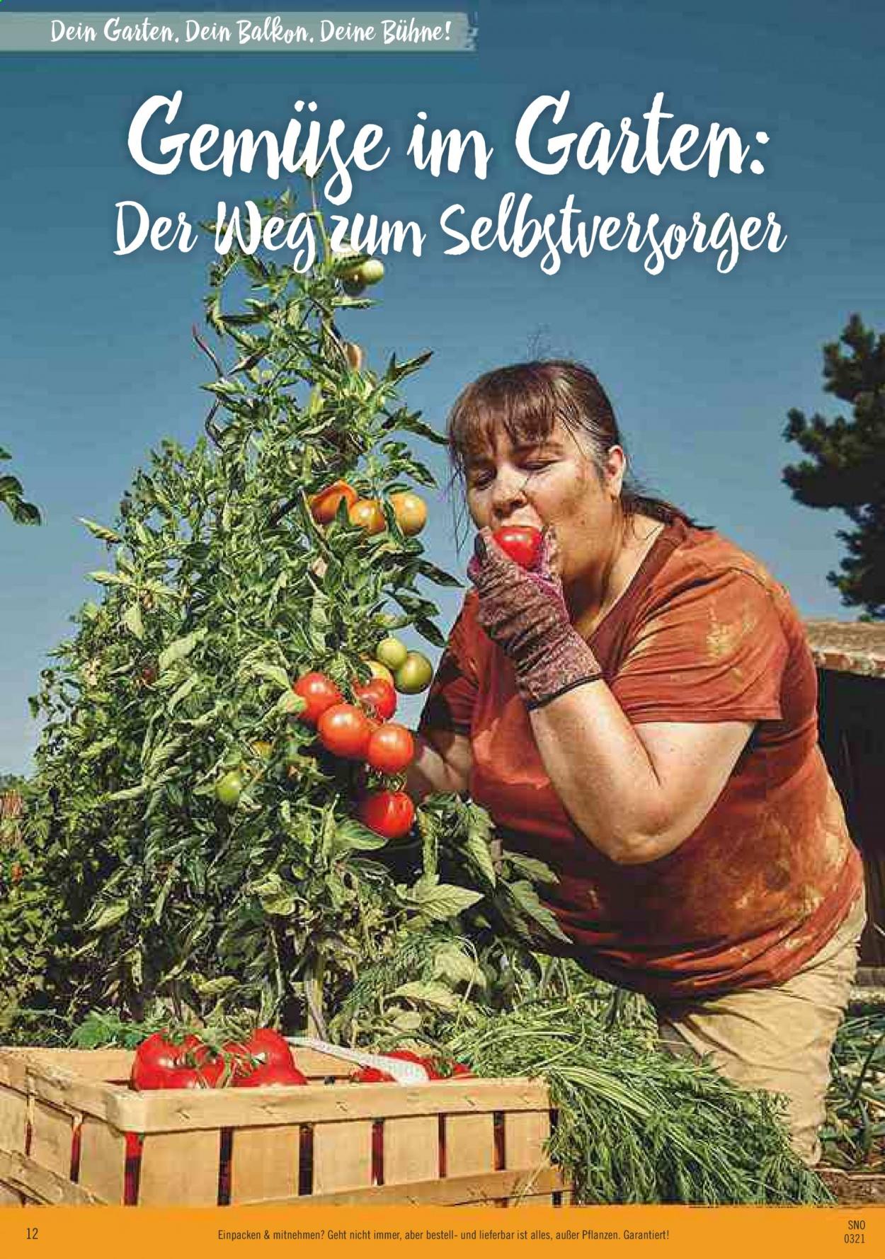 Hornbach Prospekte  - 24.03.2021 - 22.04.2021. Seite 12